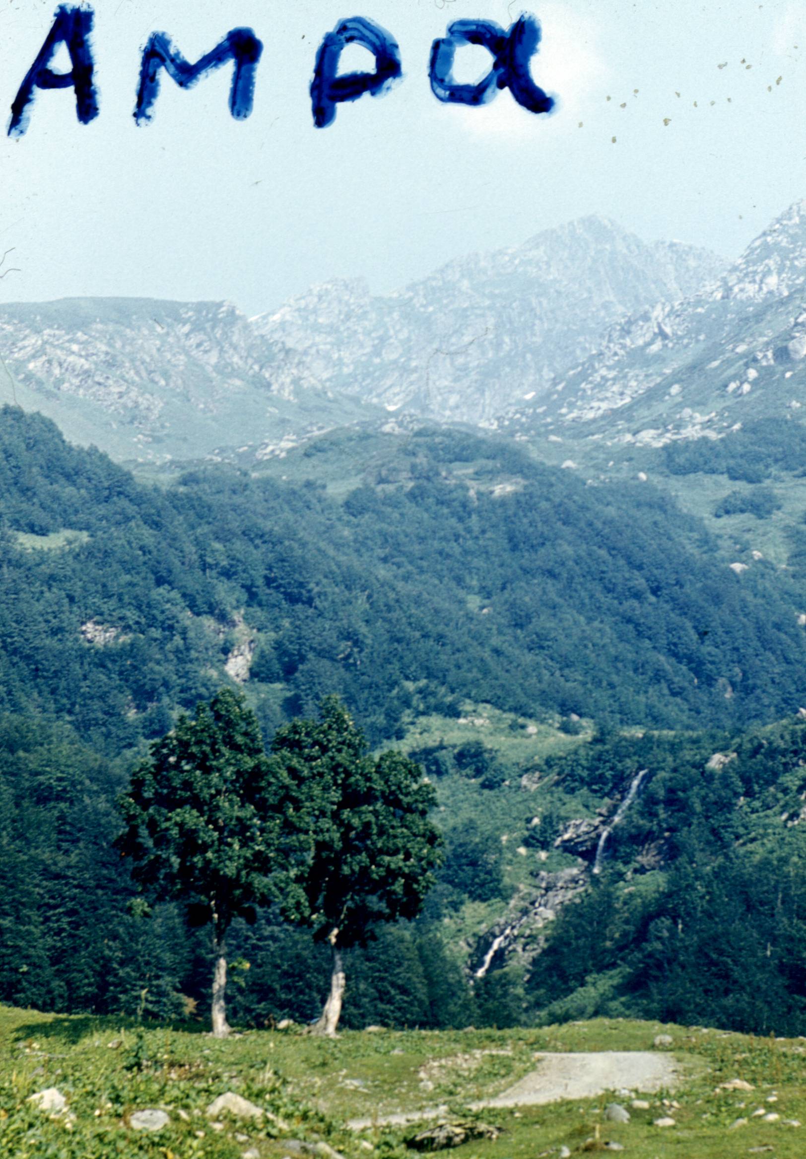 141.jpg