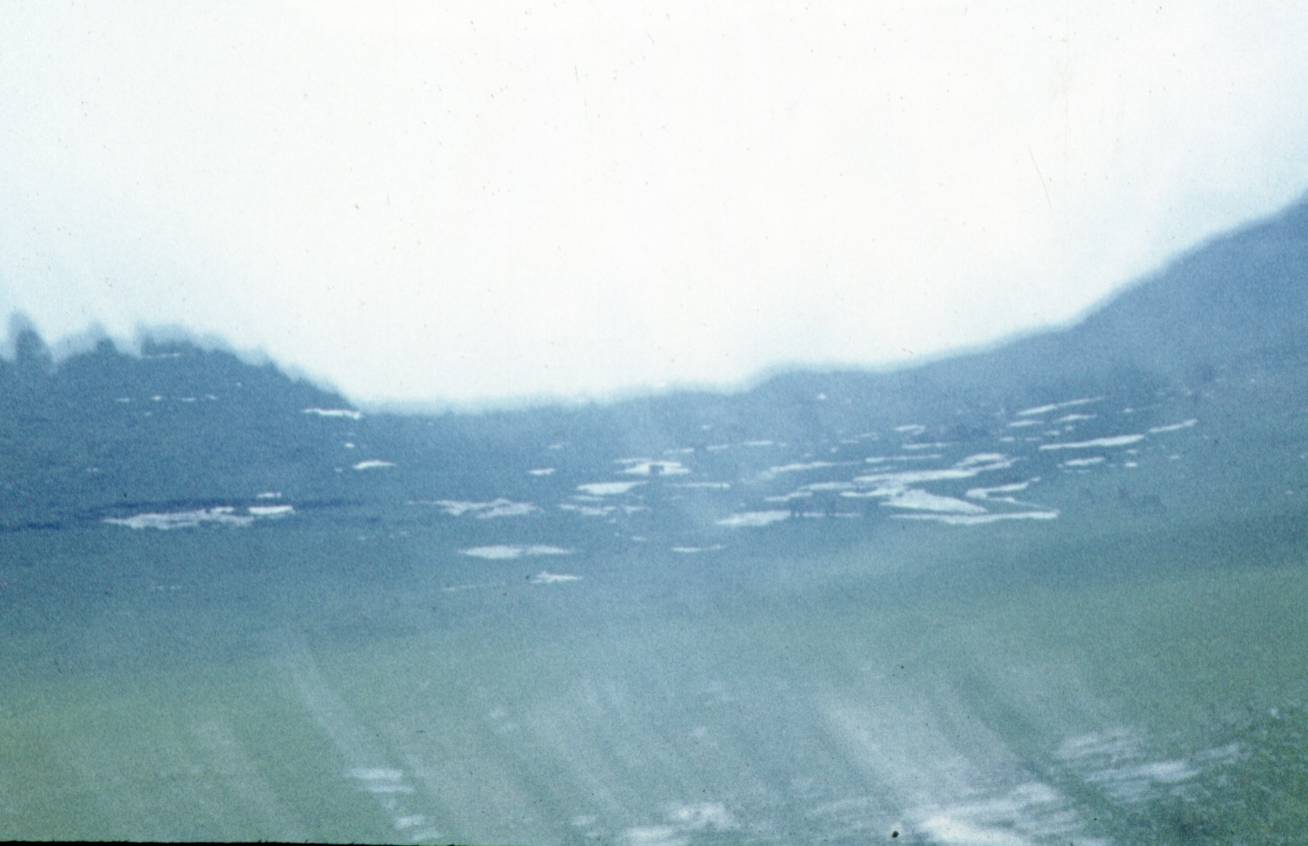 143.jpg