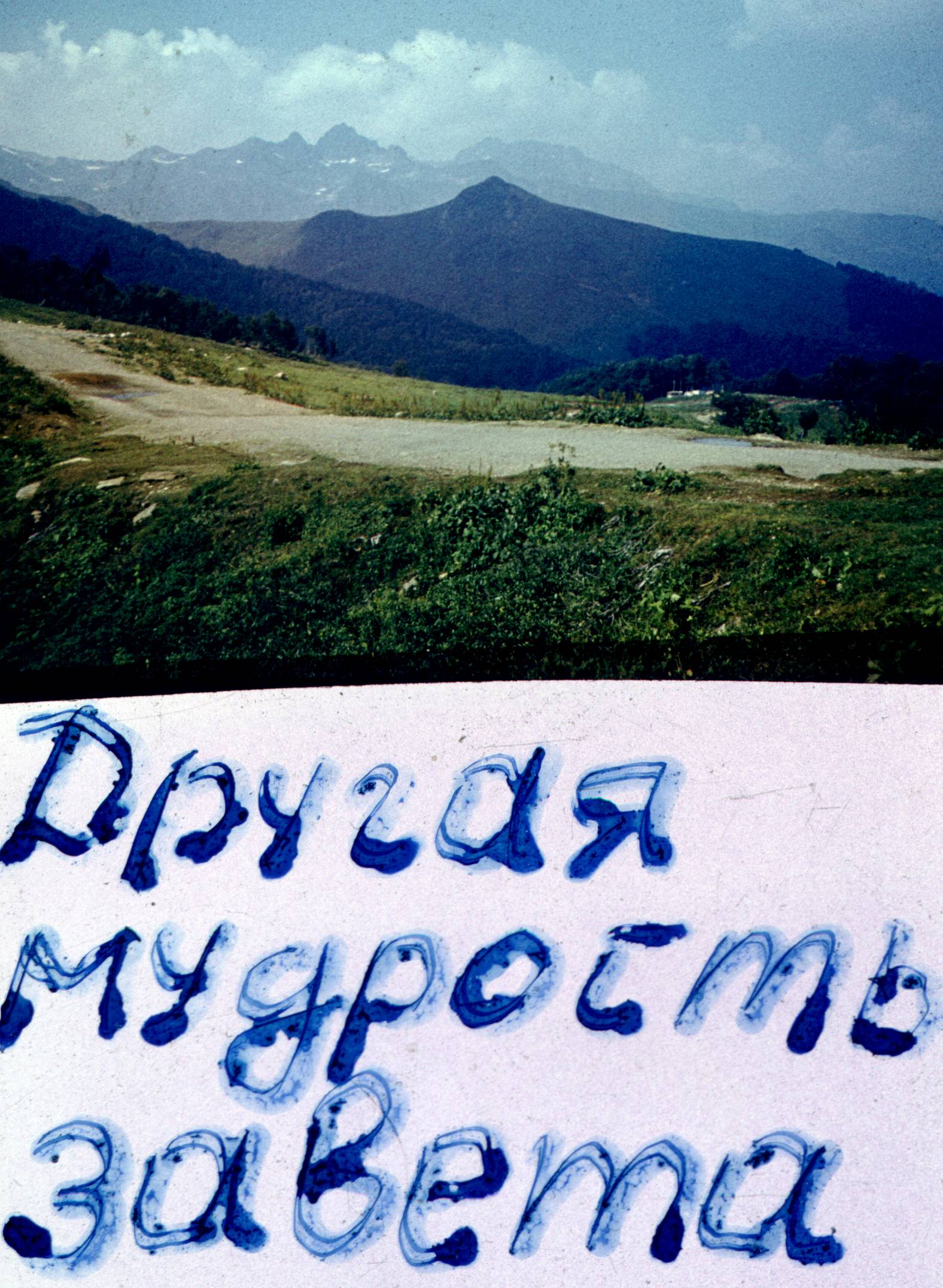 144.jpg