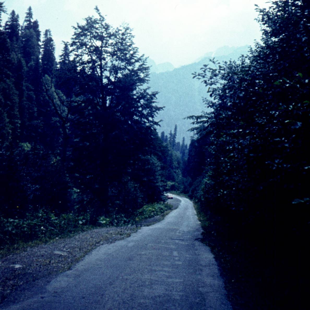 146.jpg