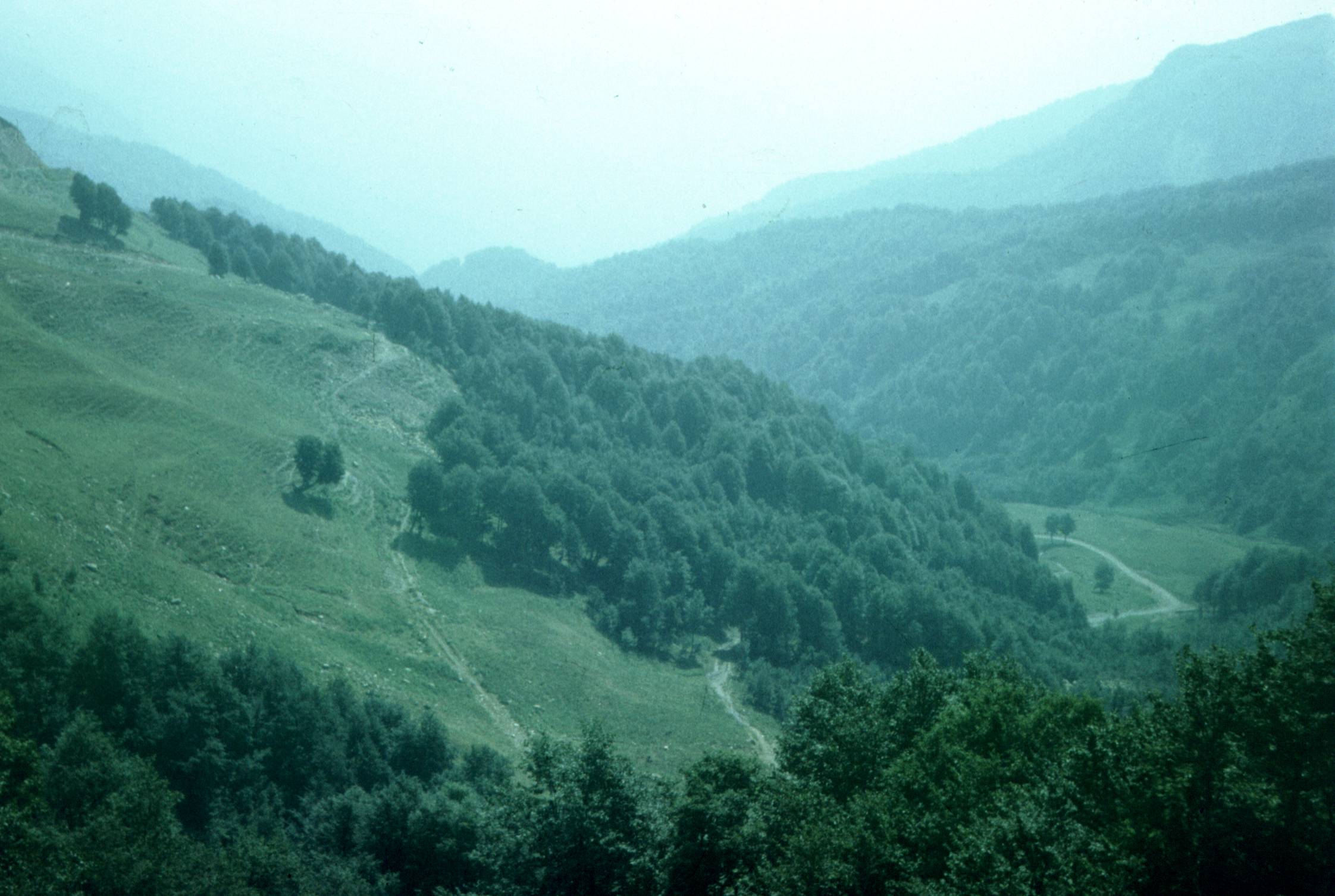 152.jpg