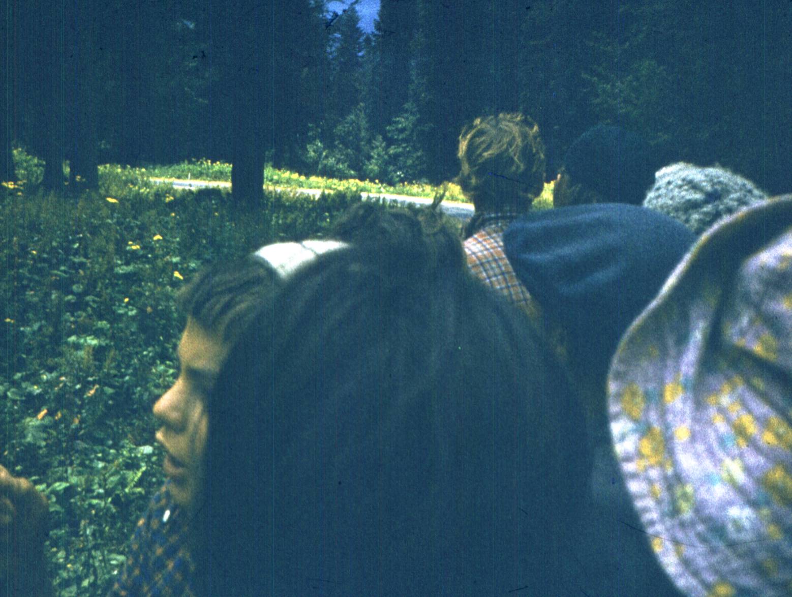 162-1.jpg