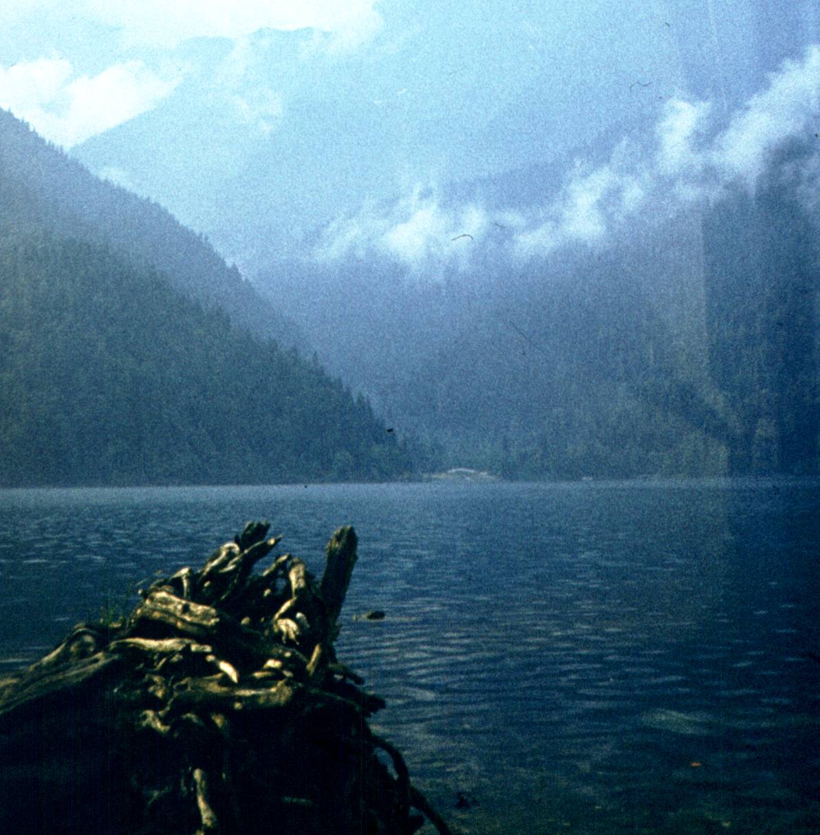 170.jpg