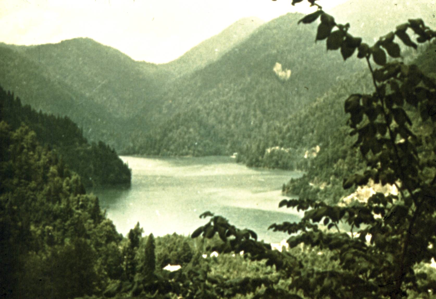 173.jpg