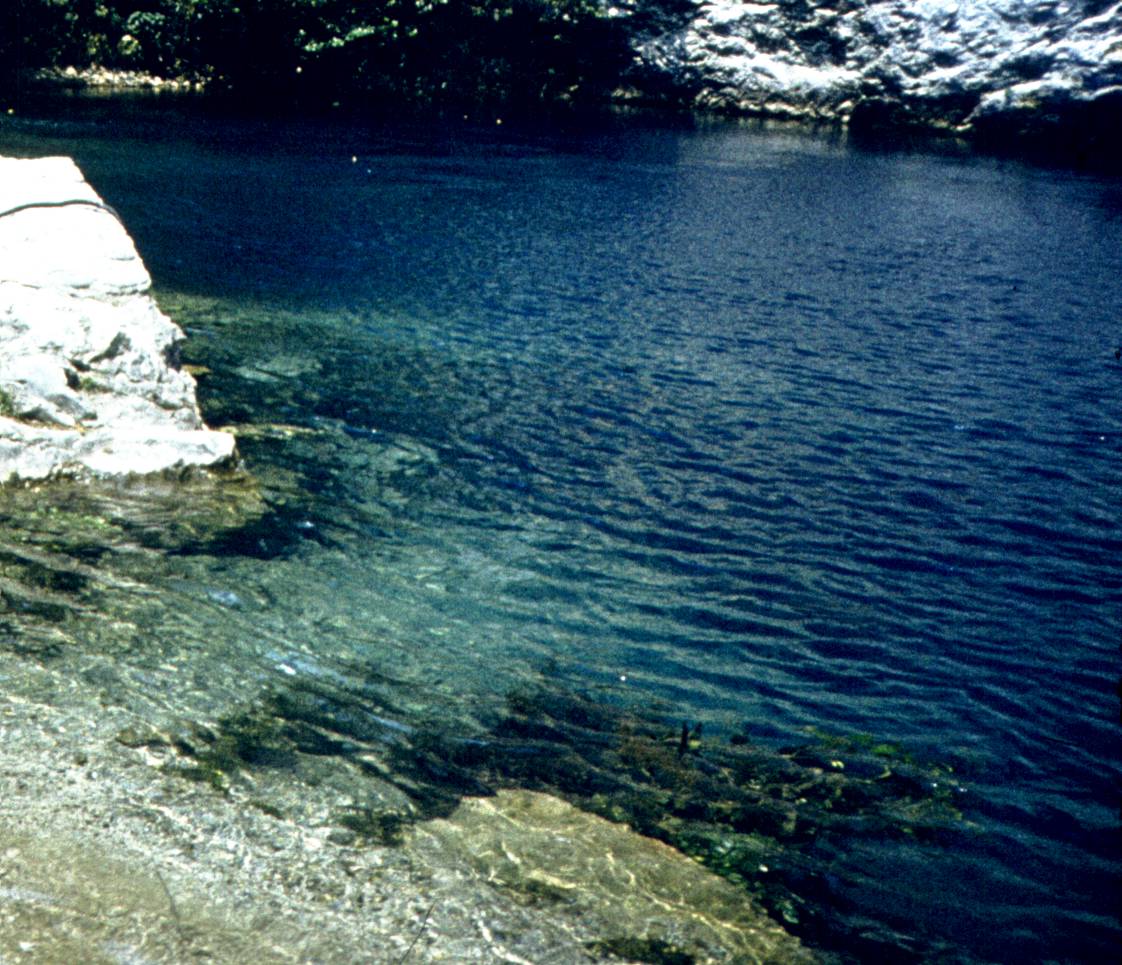 194-1.jpg
