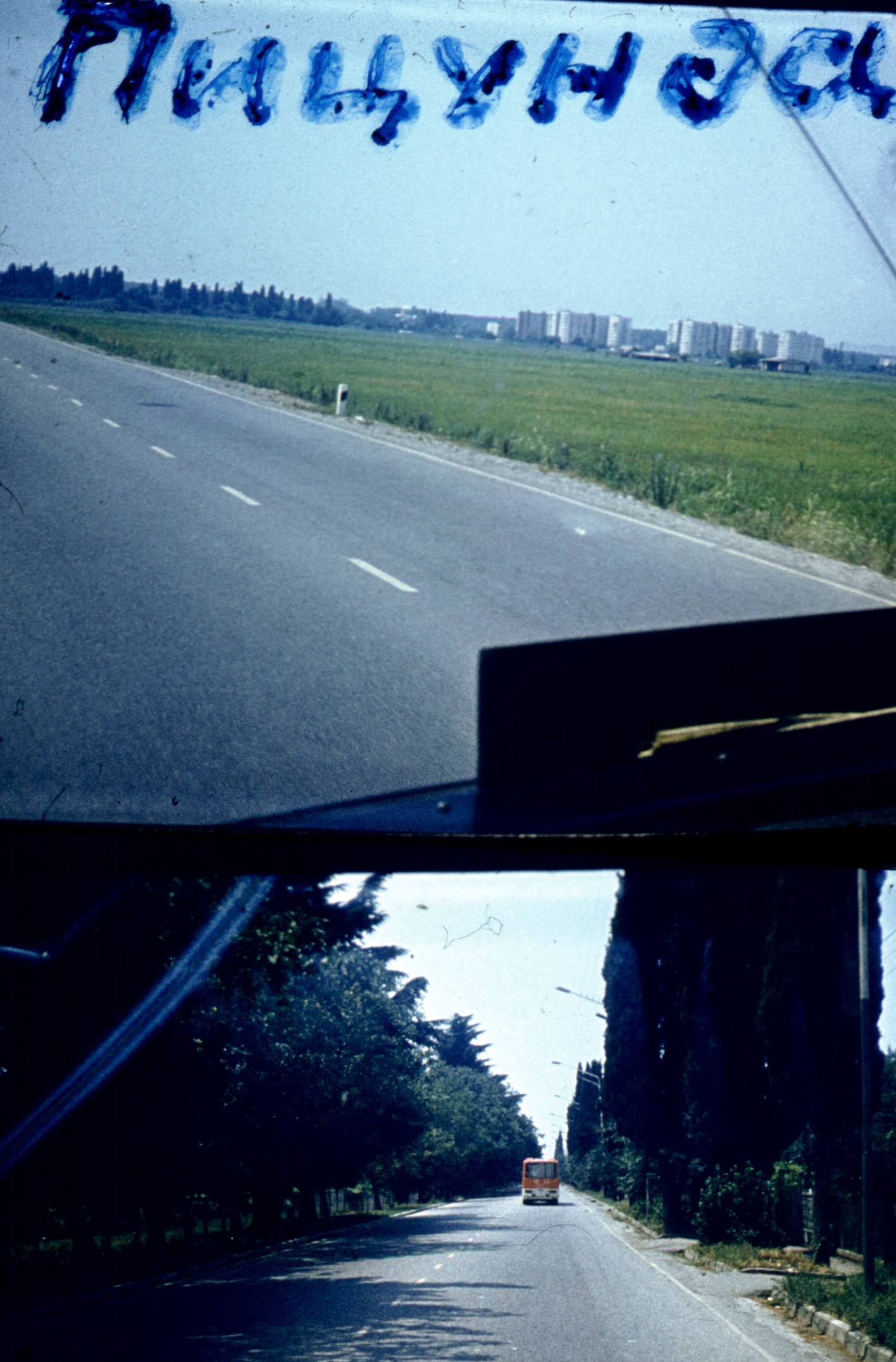 198.jpg