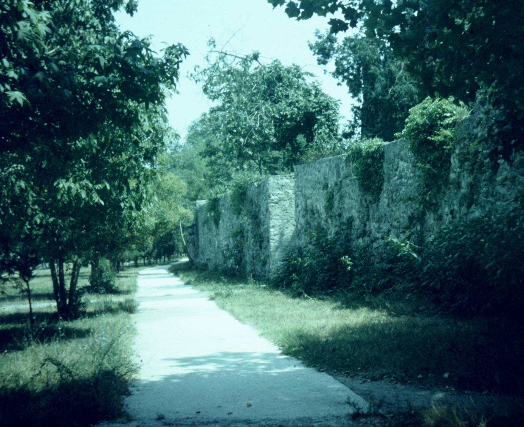 208.jpg