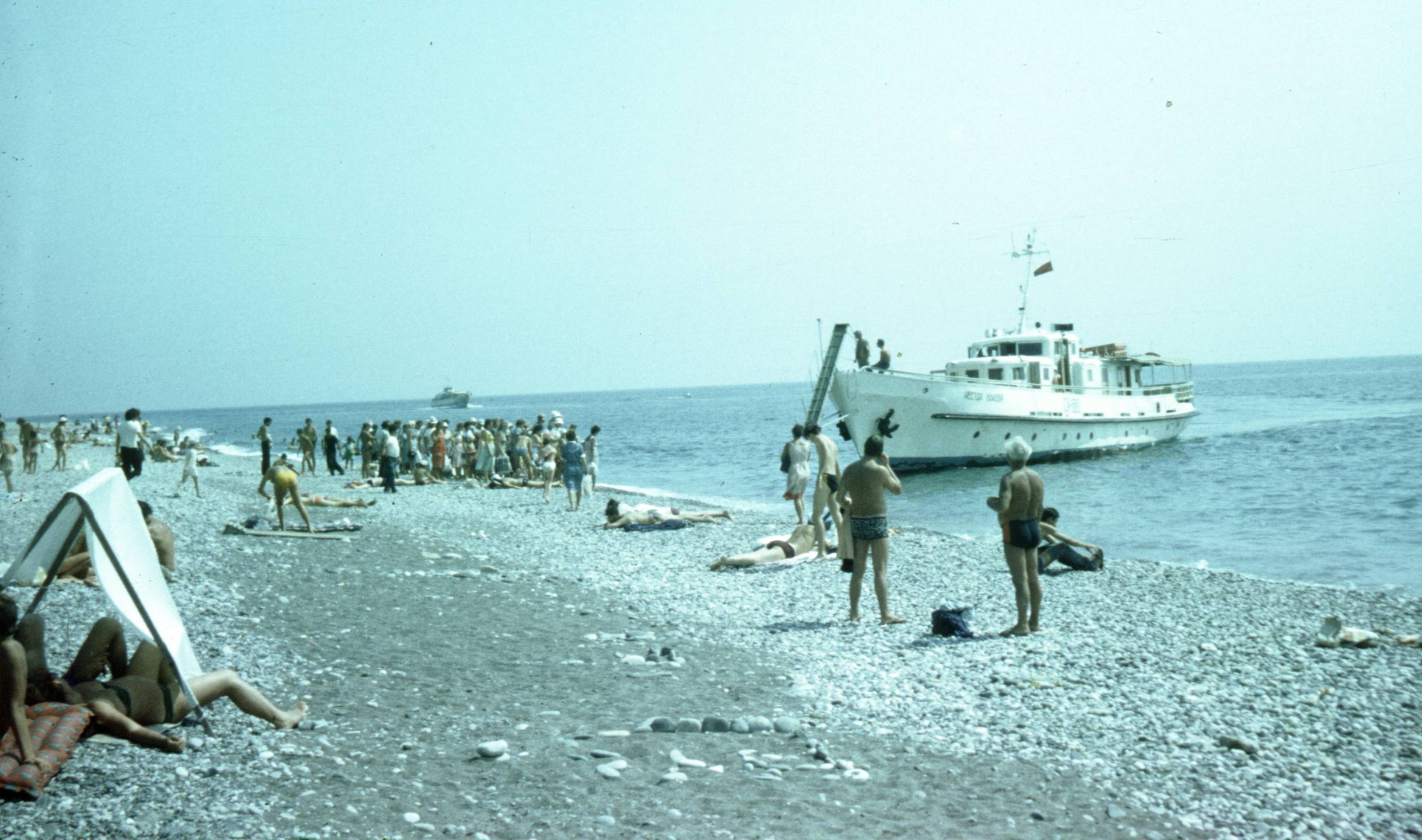 227.jpg