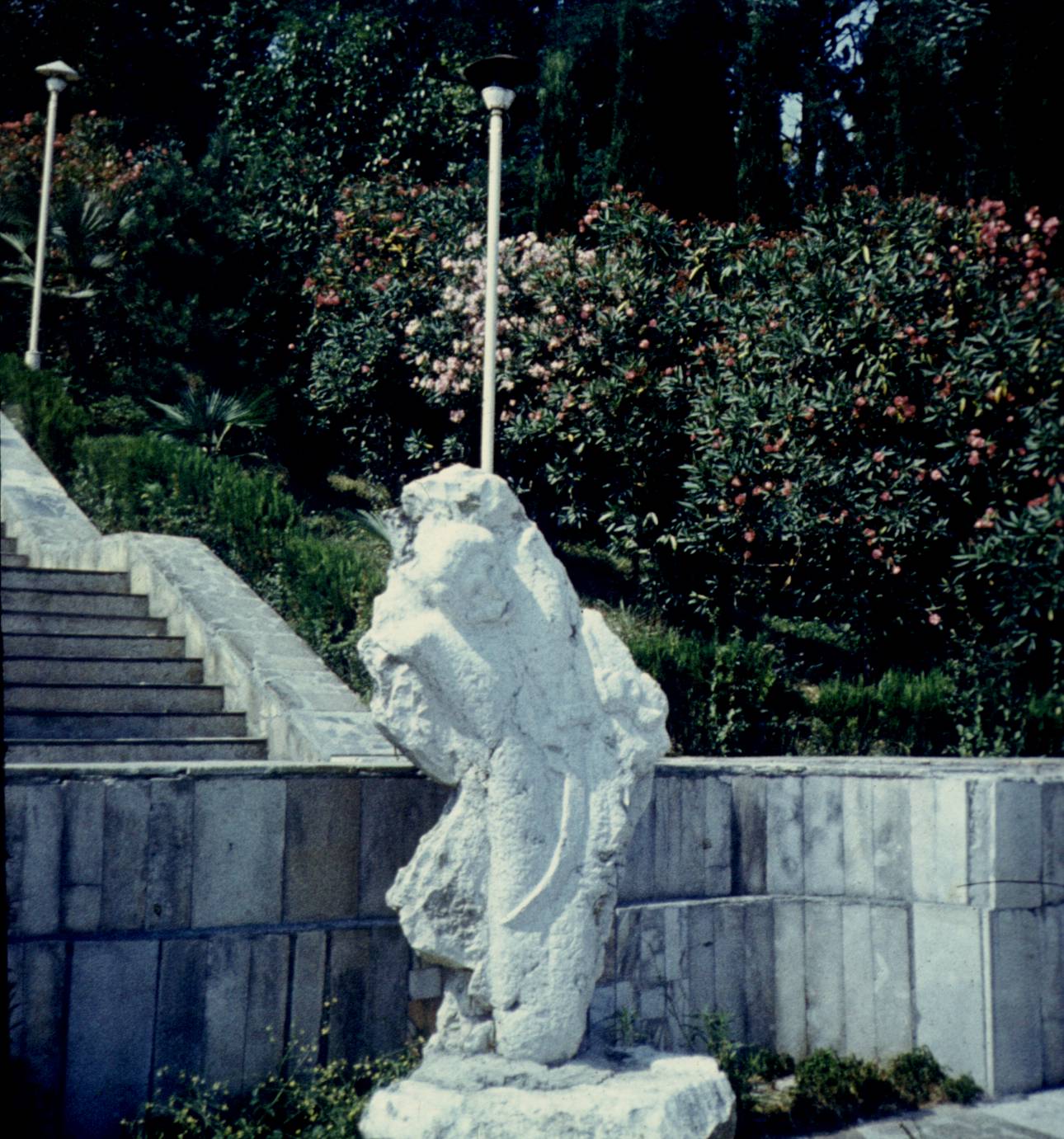 256.jpg