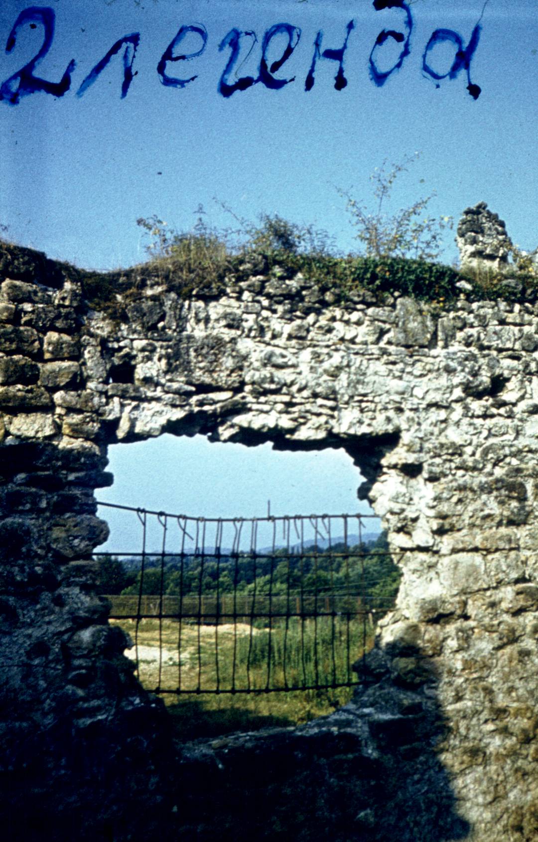 275.jpg