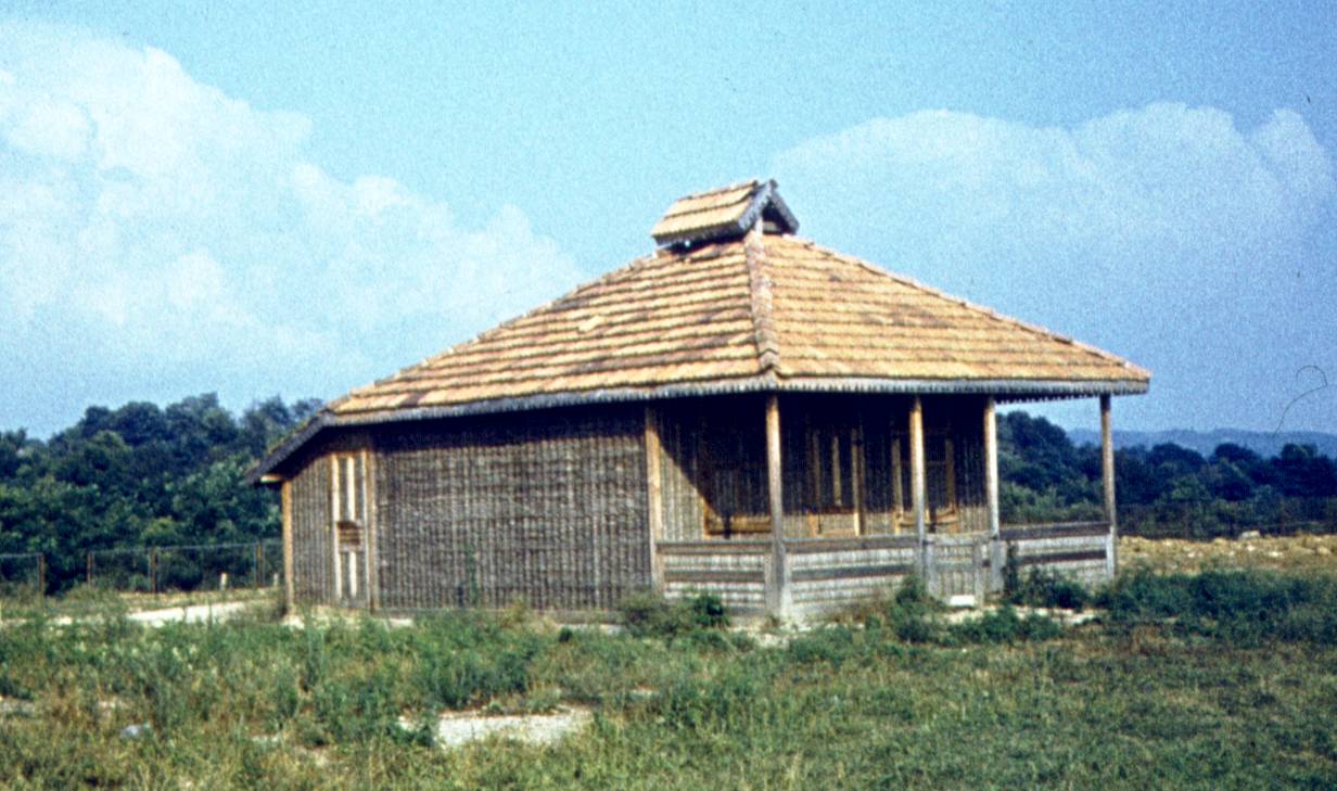 278.jpg