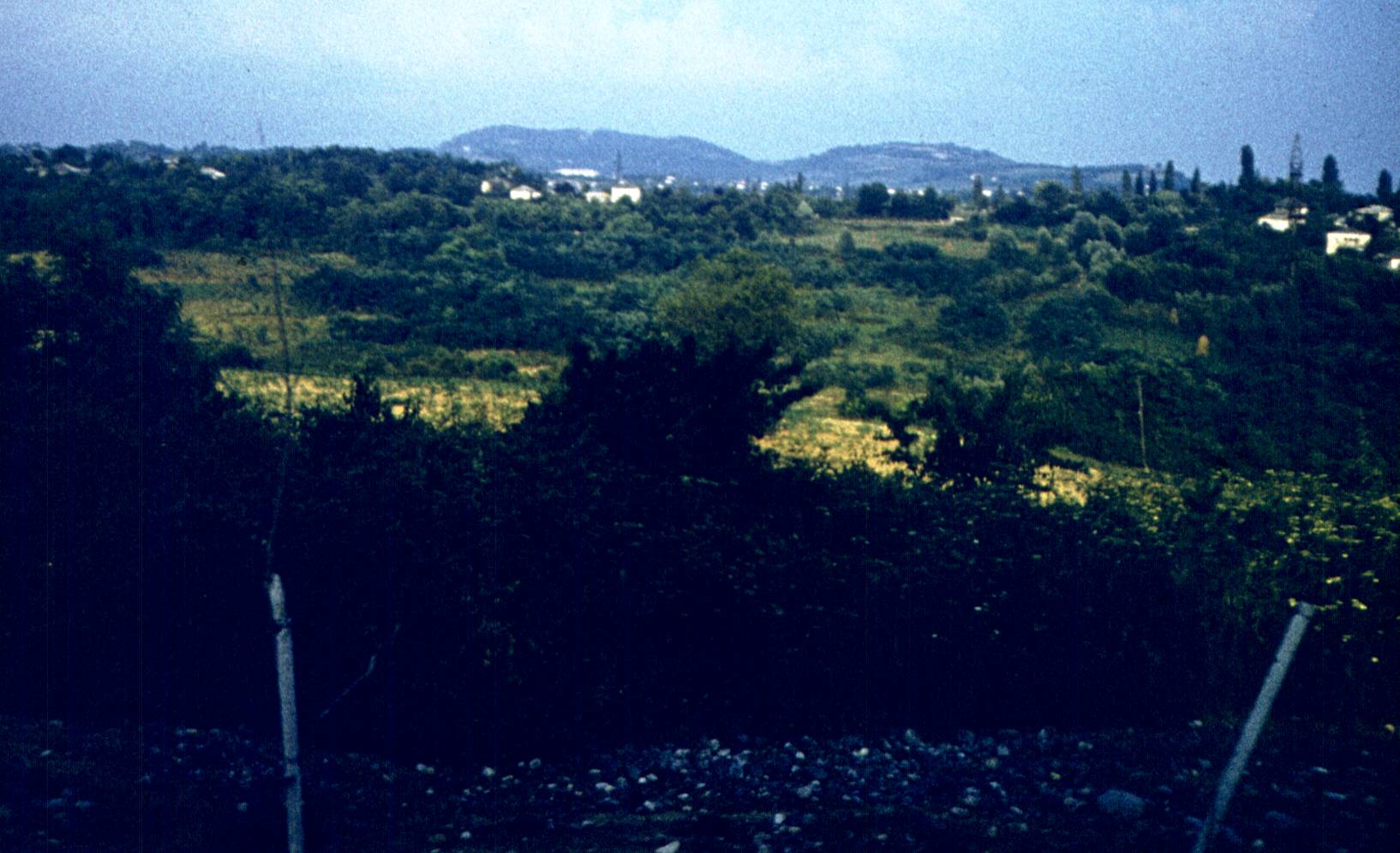 285.jpg