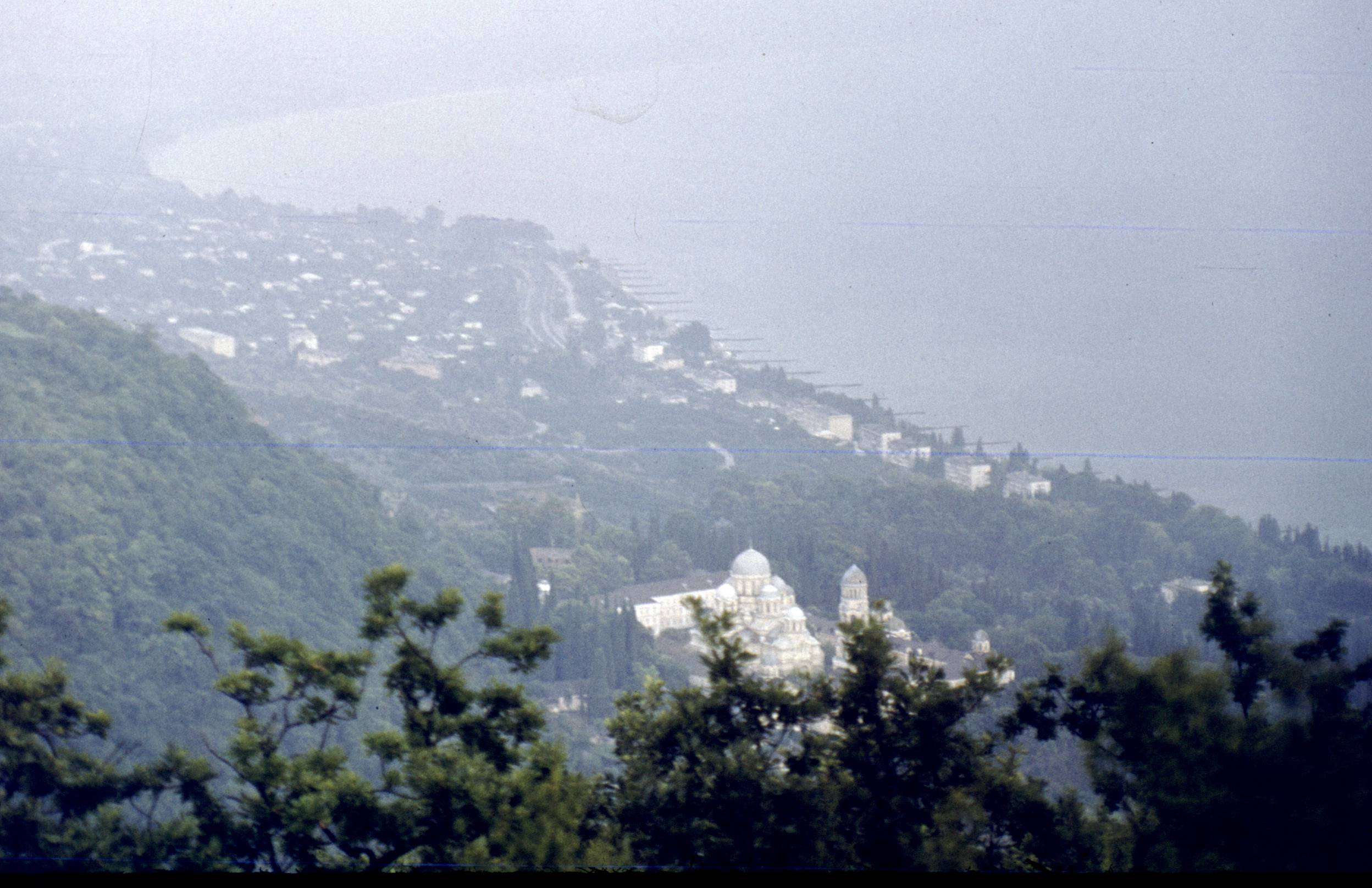 312.jpg