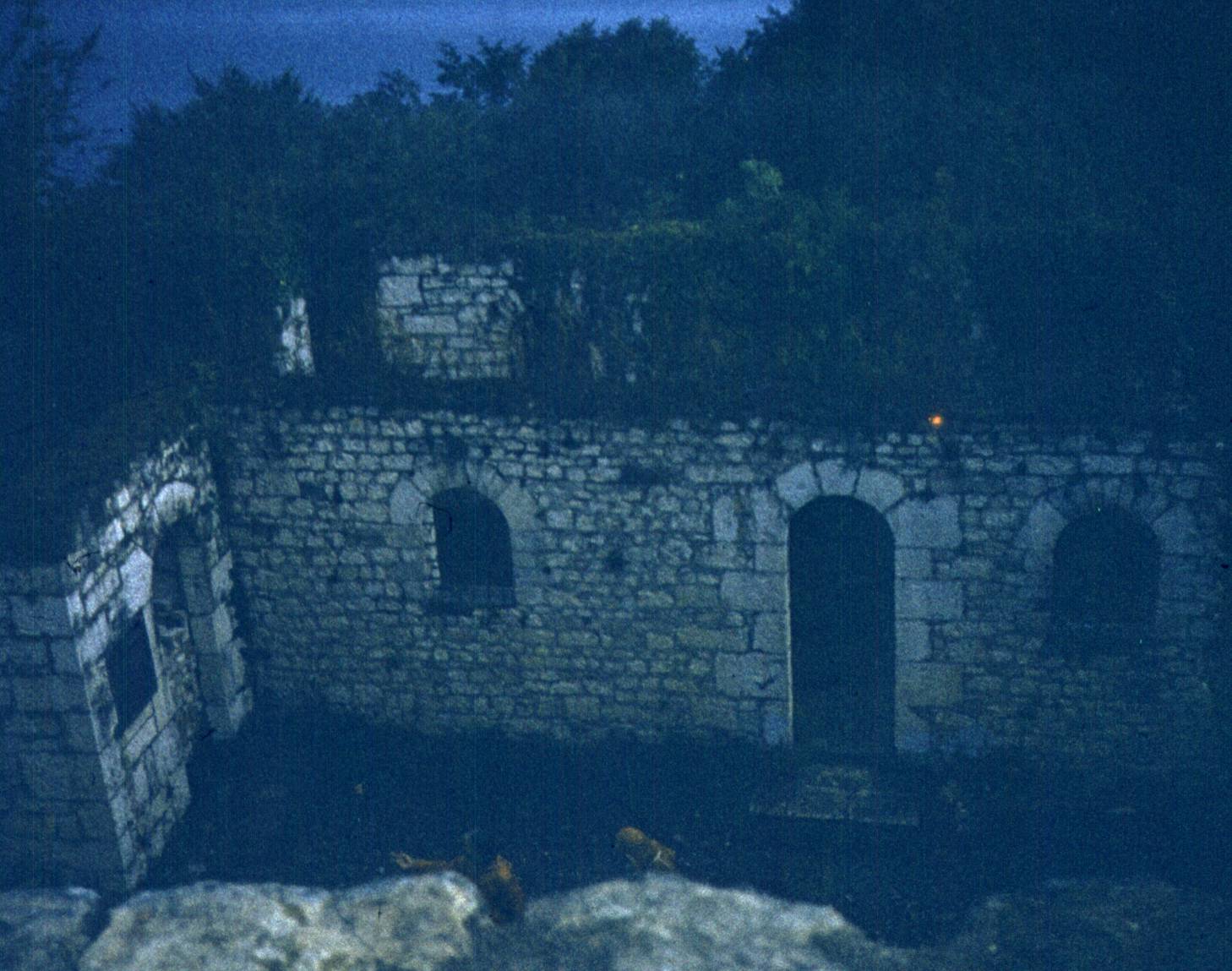 316-1.jpg