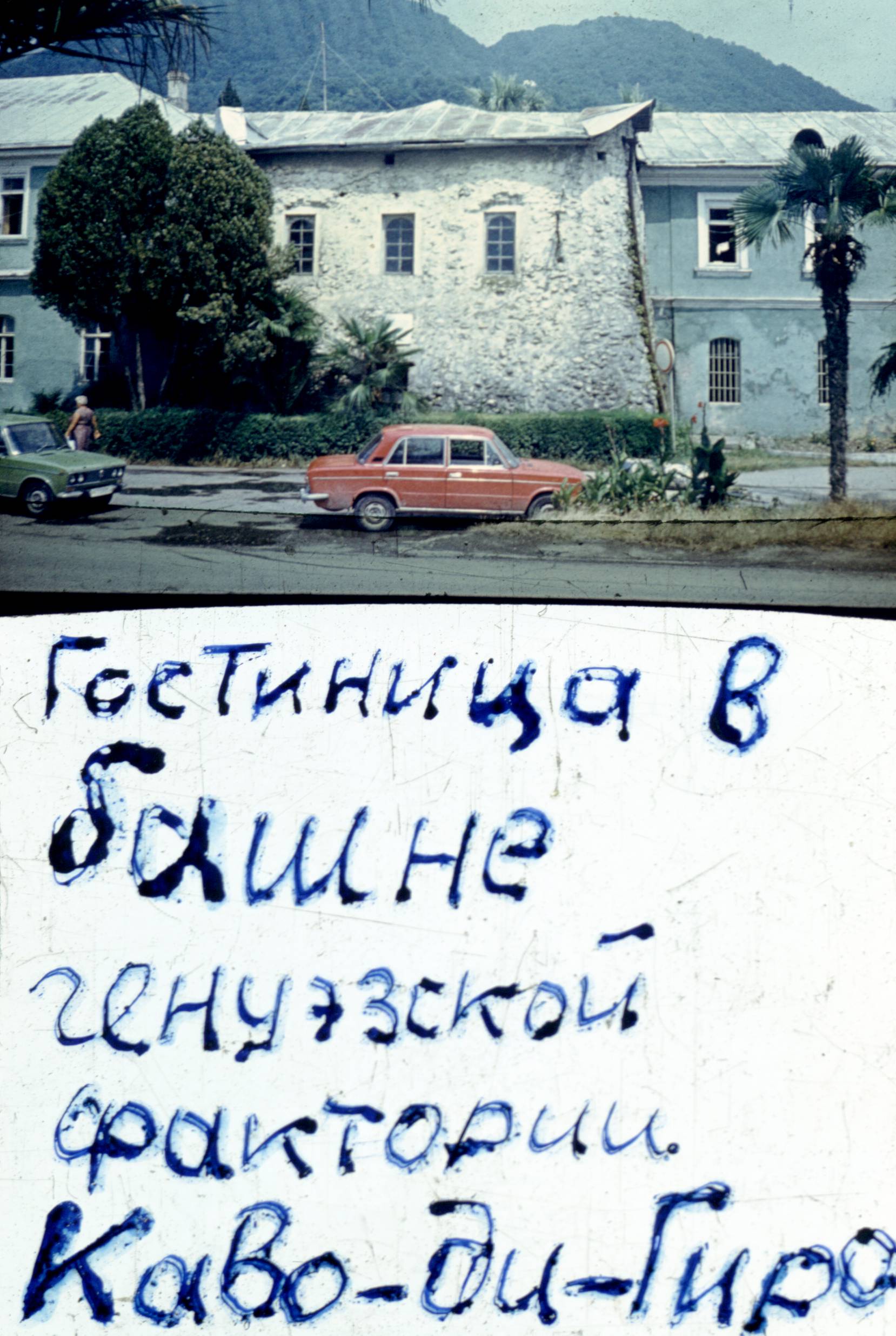 348.jpg
