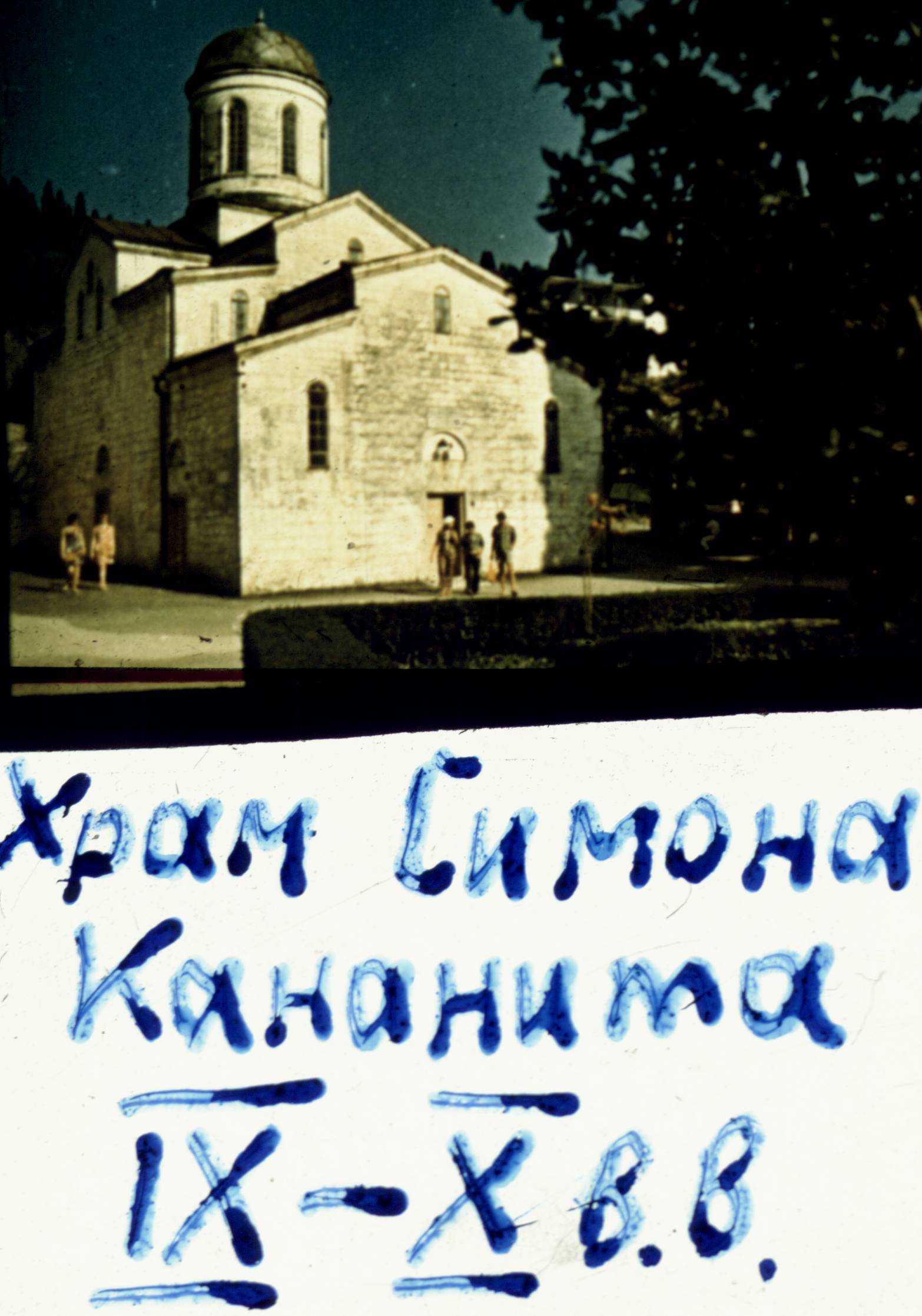 351.jpg