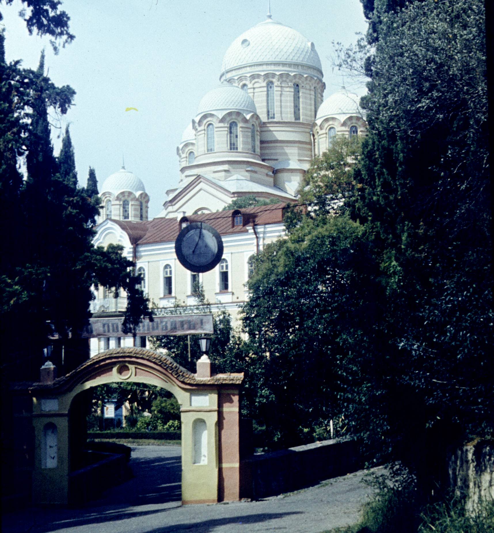 354.jpg