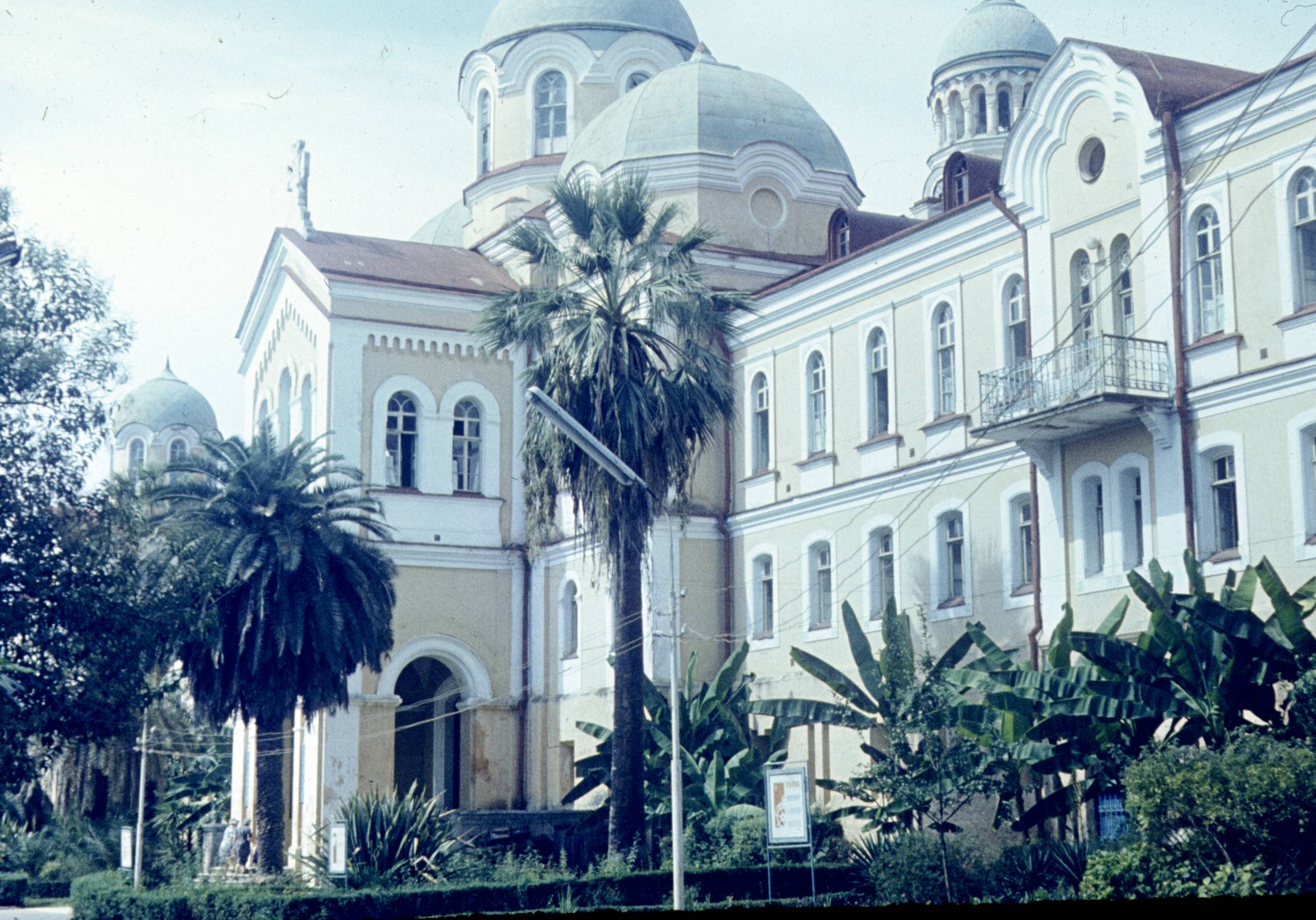 356.jpg