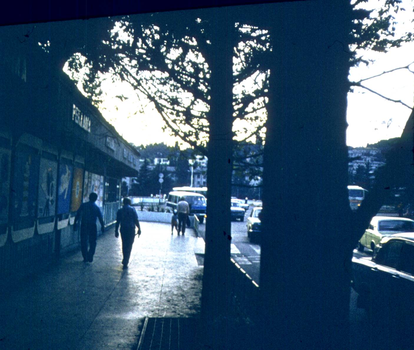 380-1.jpg