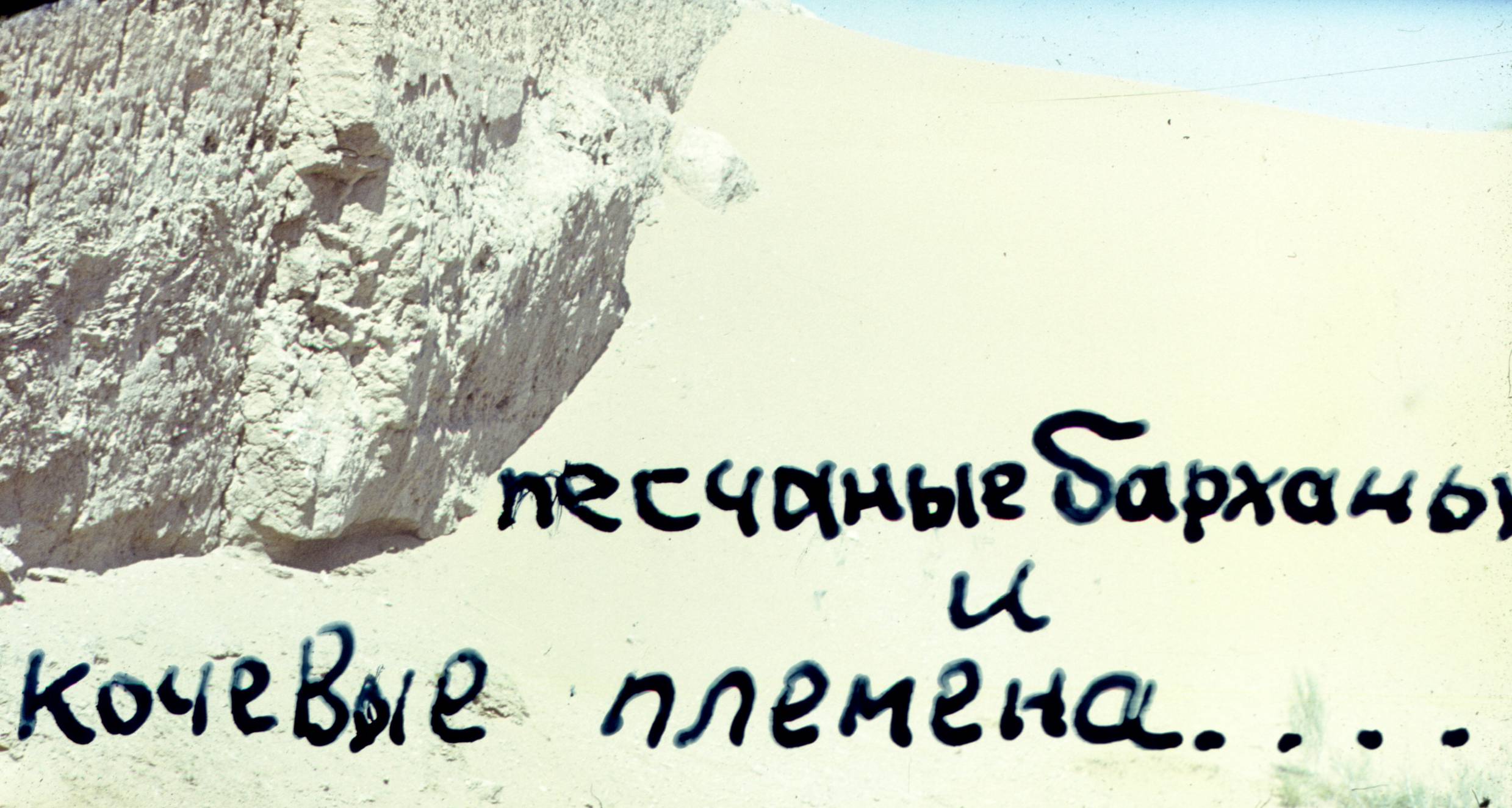 139.jpg