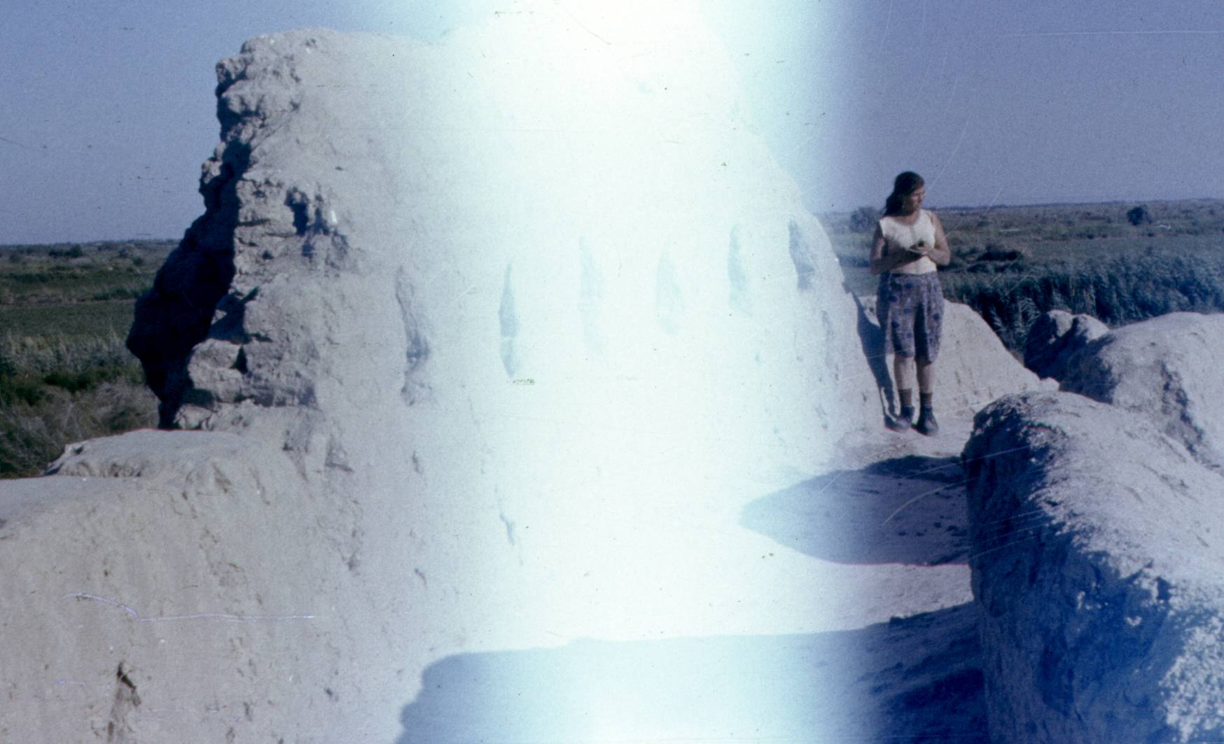 172.jpg