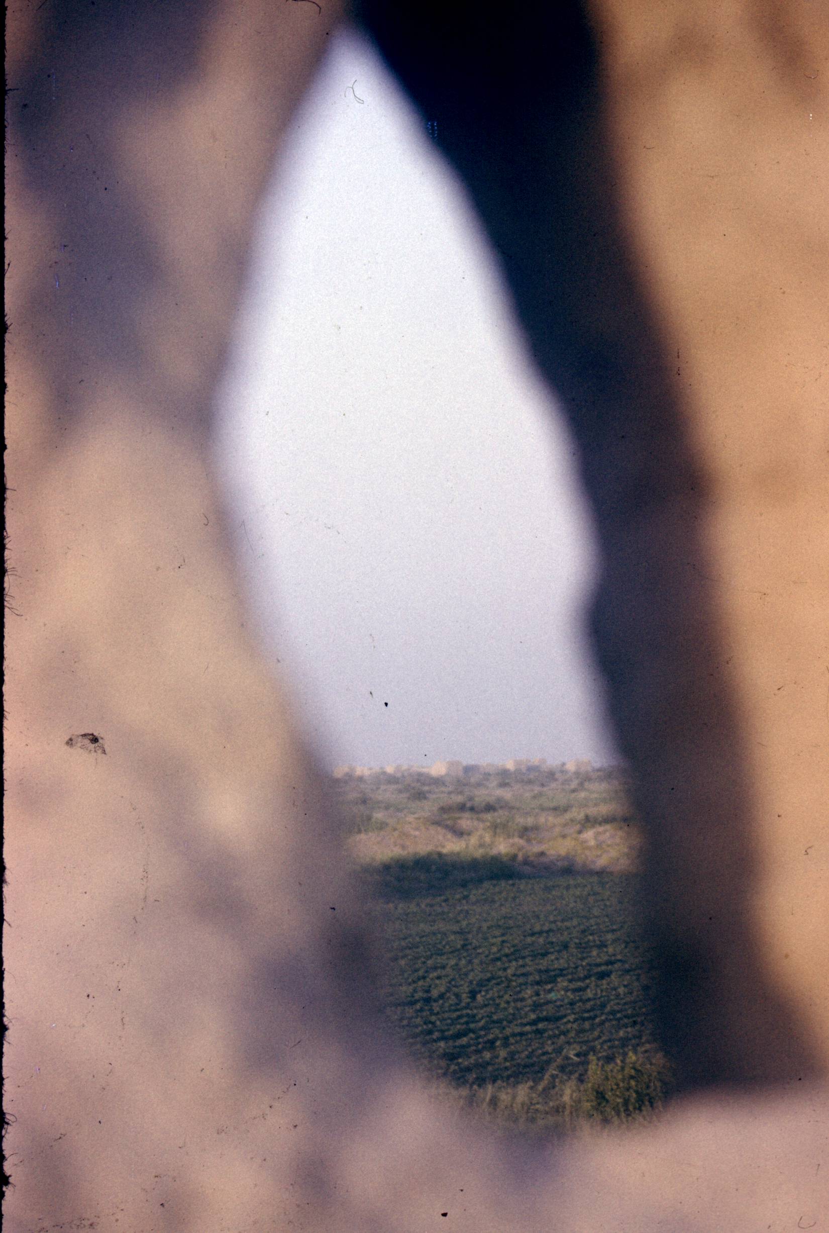 173.jpg