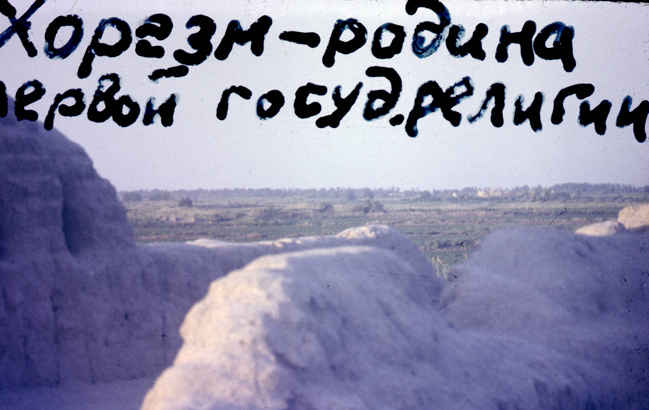 181.jpg