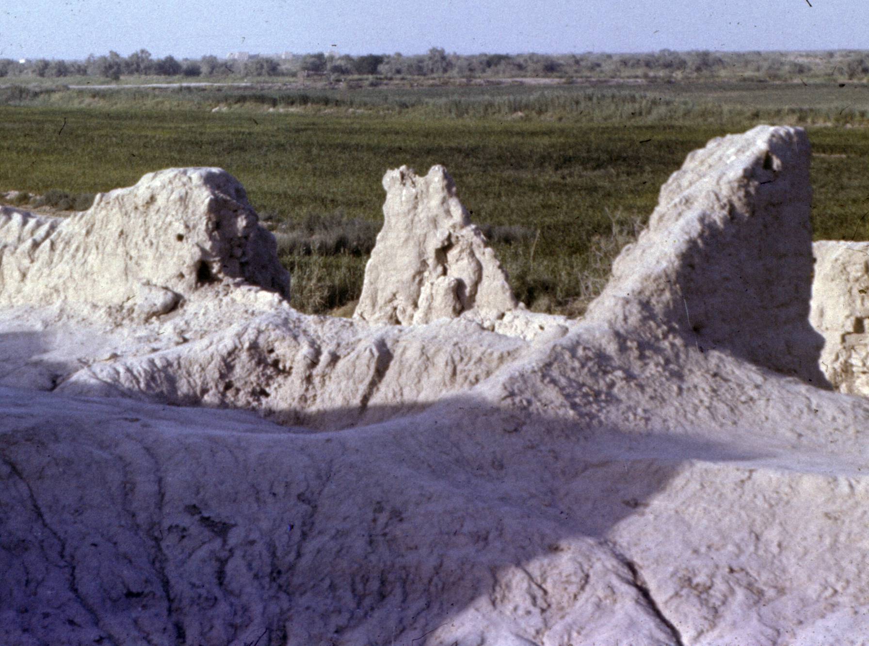 190.jpg
