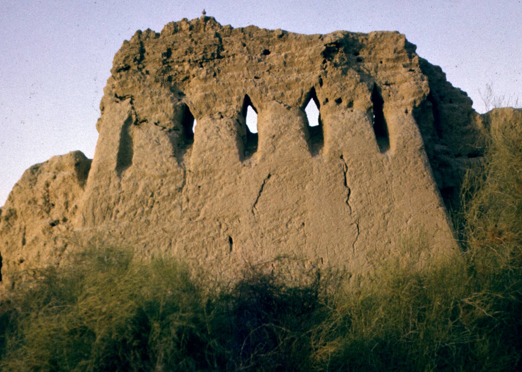 194.jpg