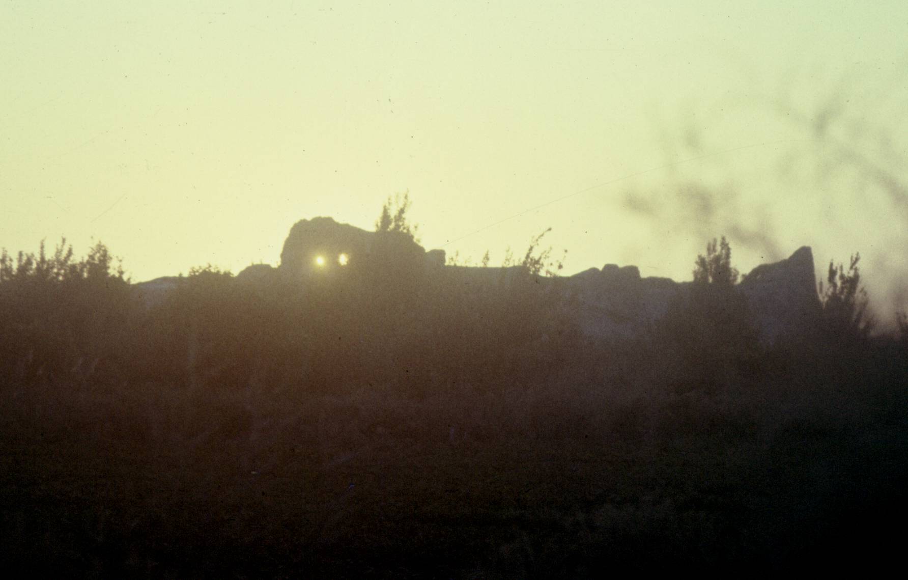 195.jpg