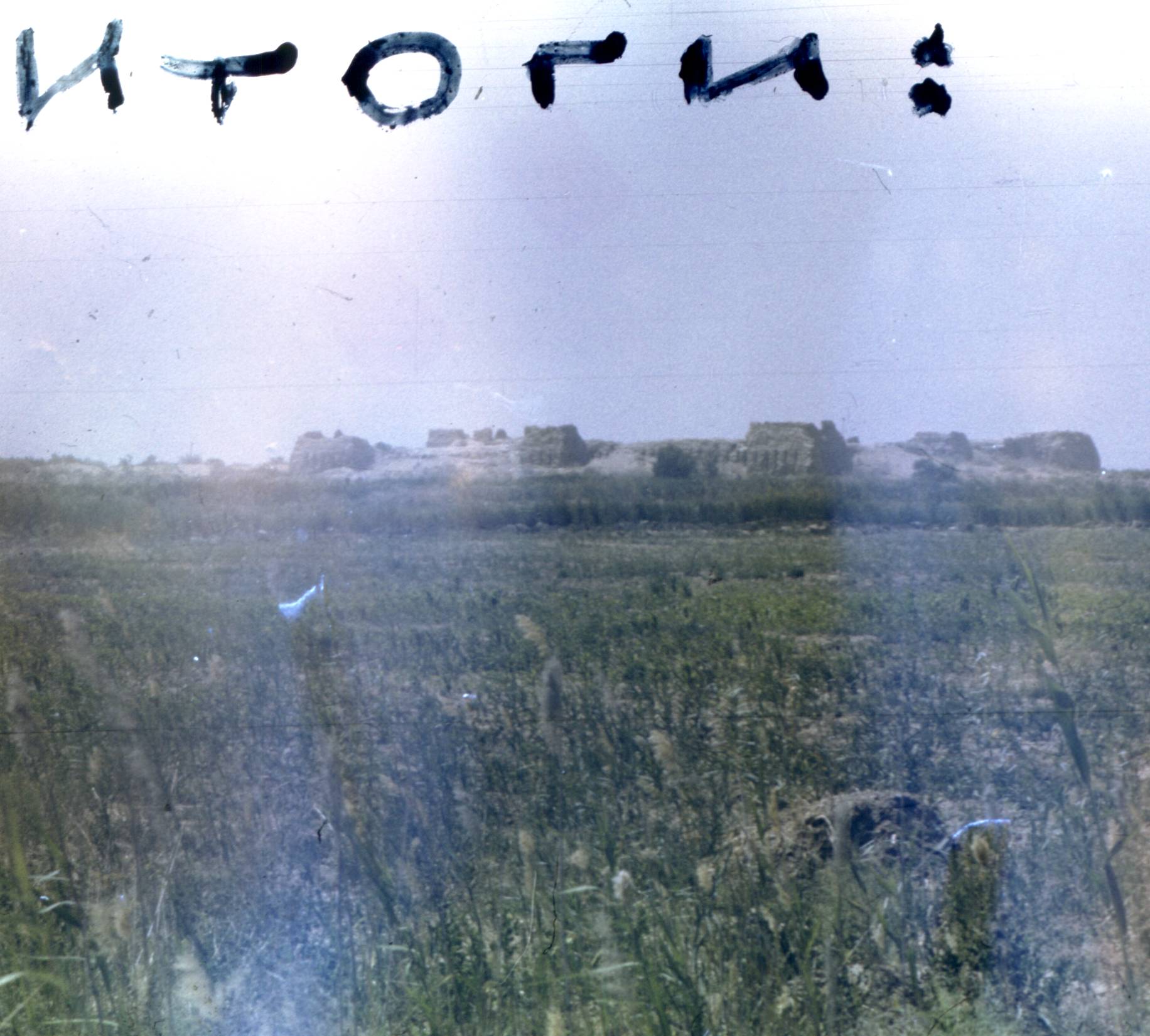 215.jpg