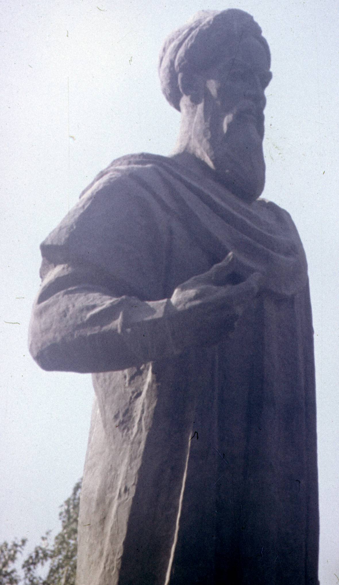 244.jpg
