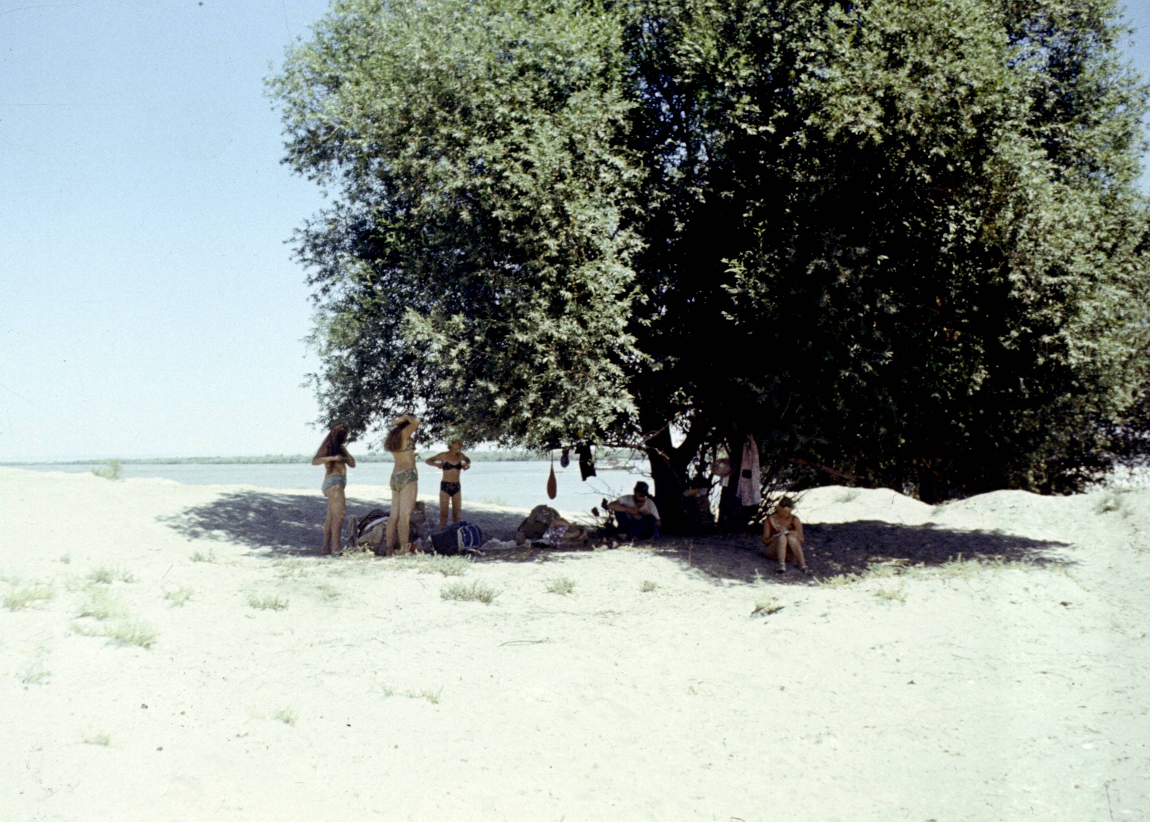 258.jpg