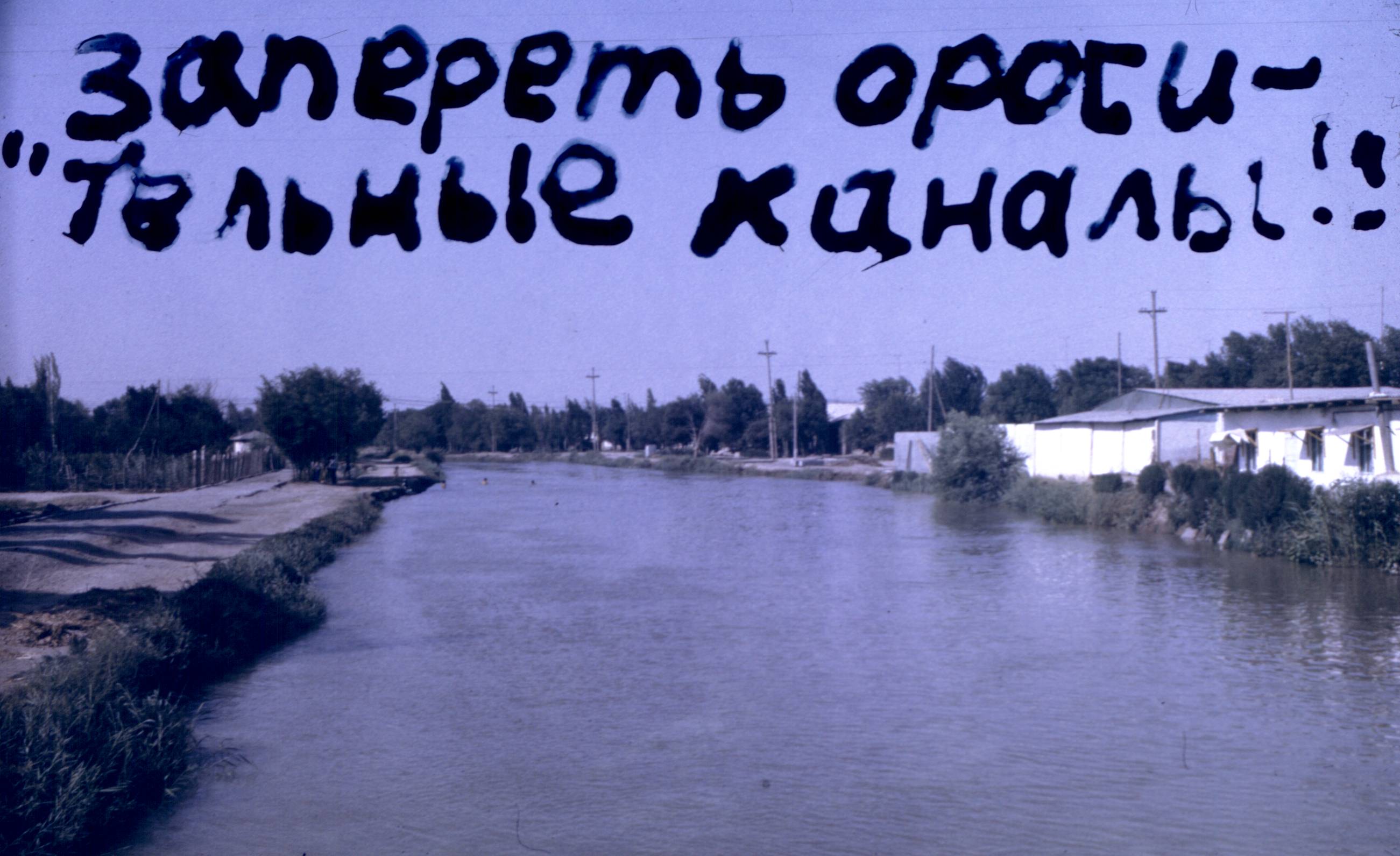 272.jpg