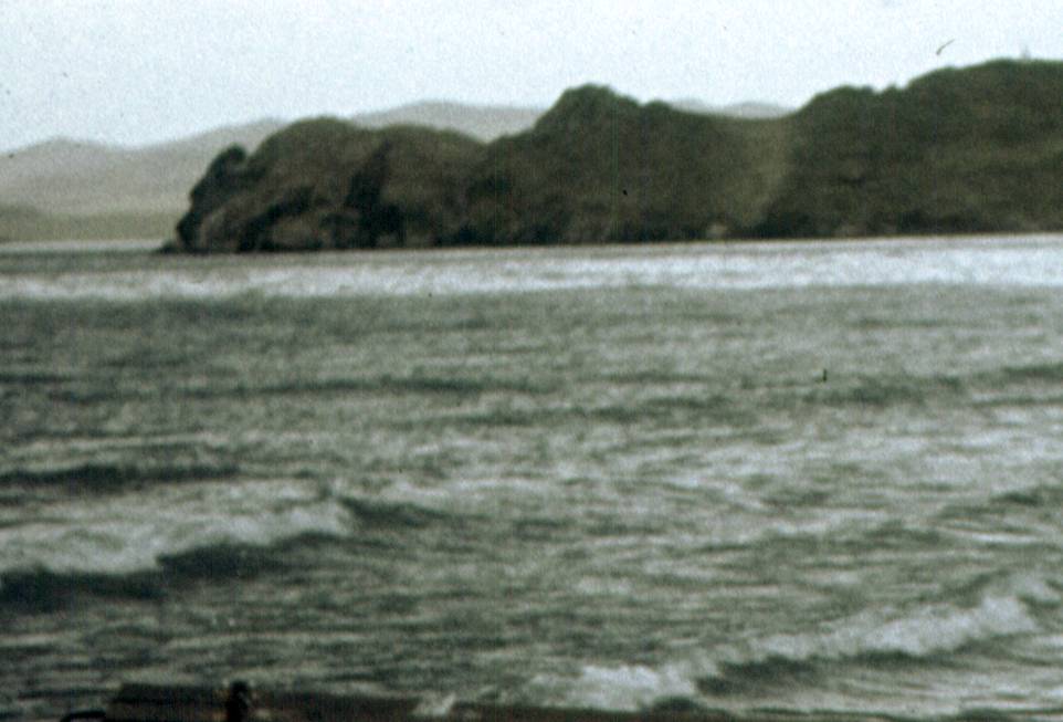 020-1.jpg