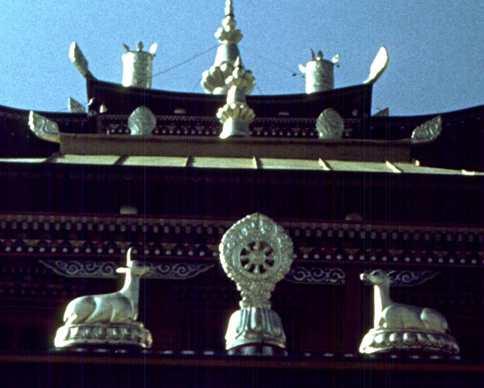 071-1.jpg