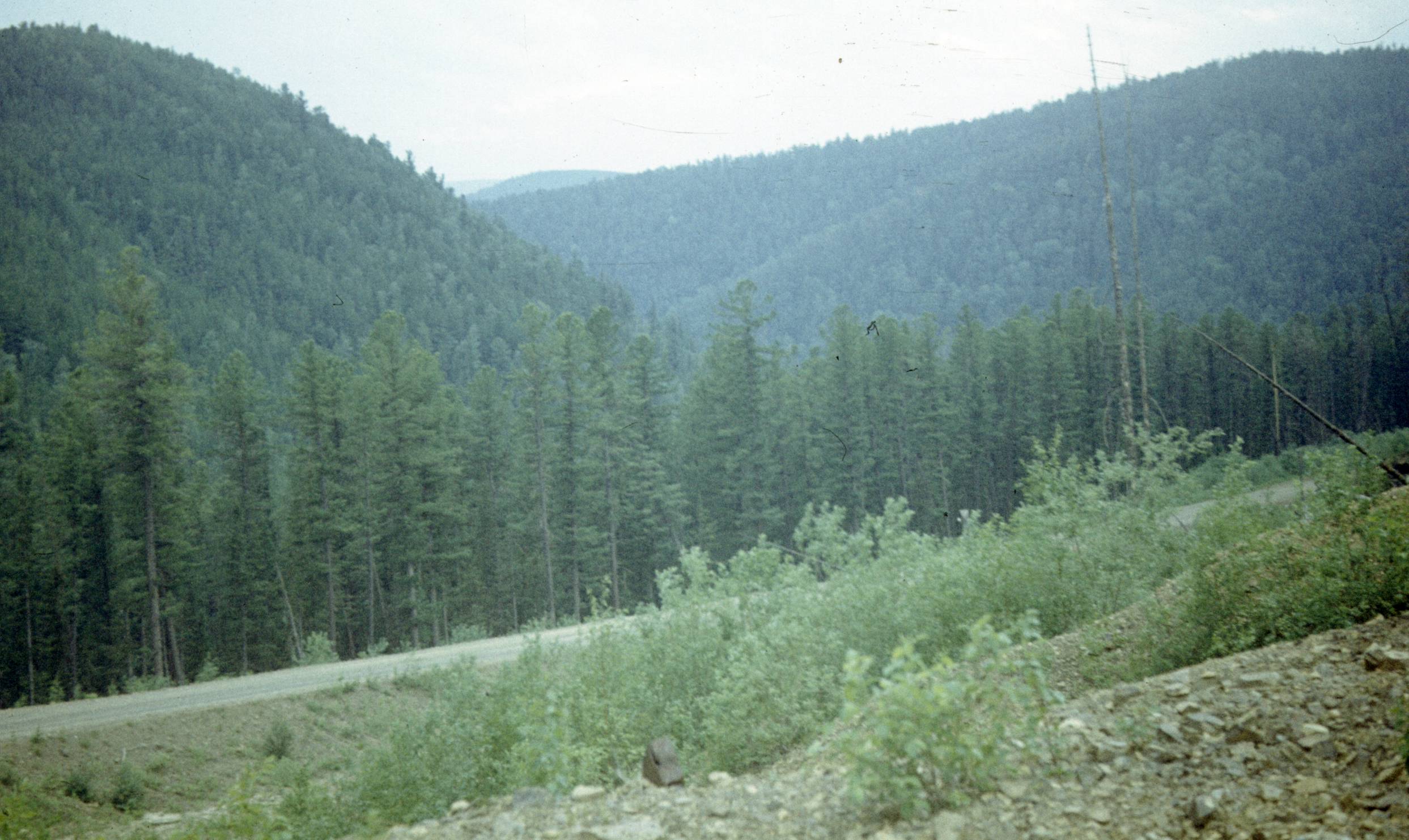 121.jpg