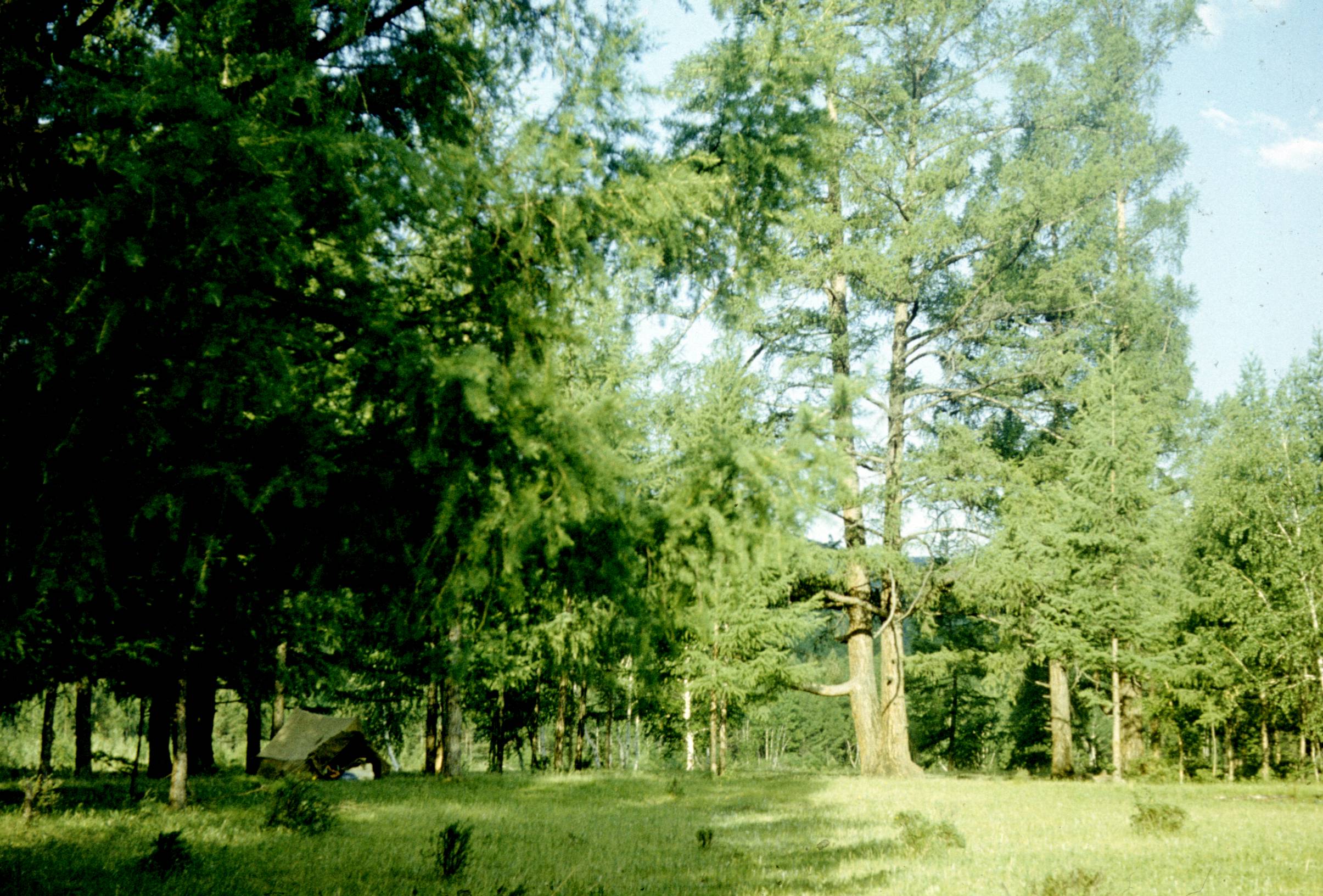 132.jpg
