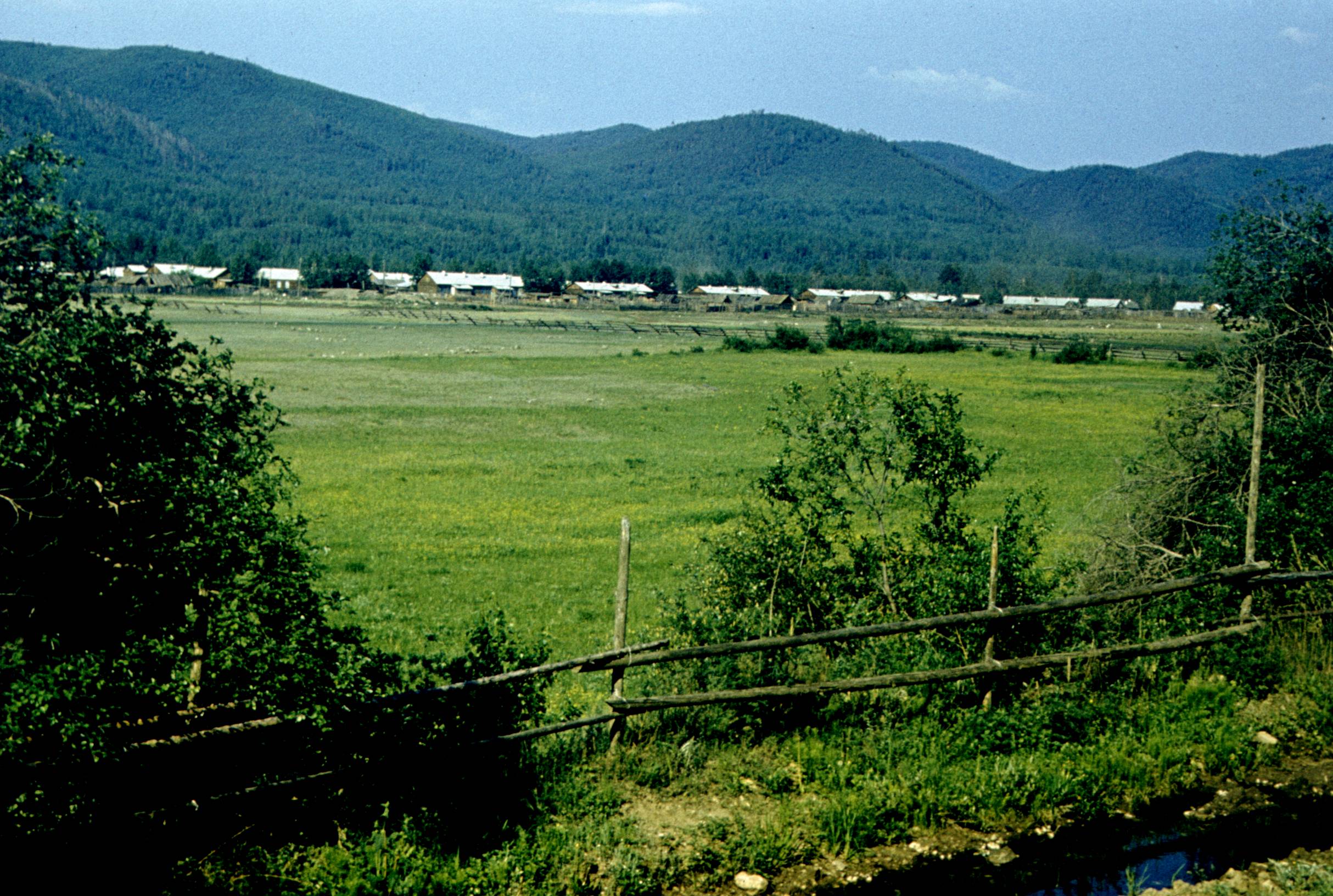 133.jpg