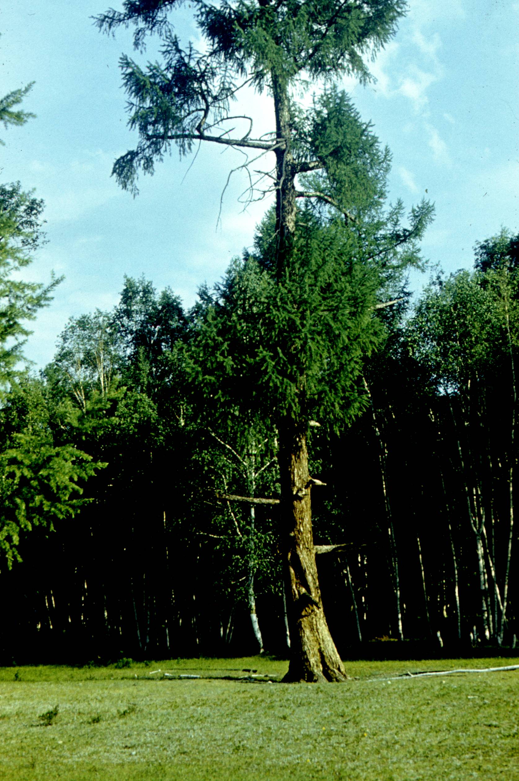 139.jpg