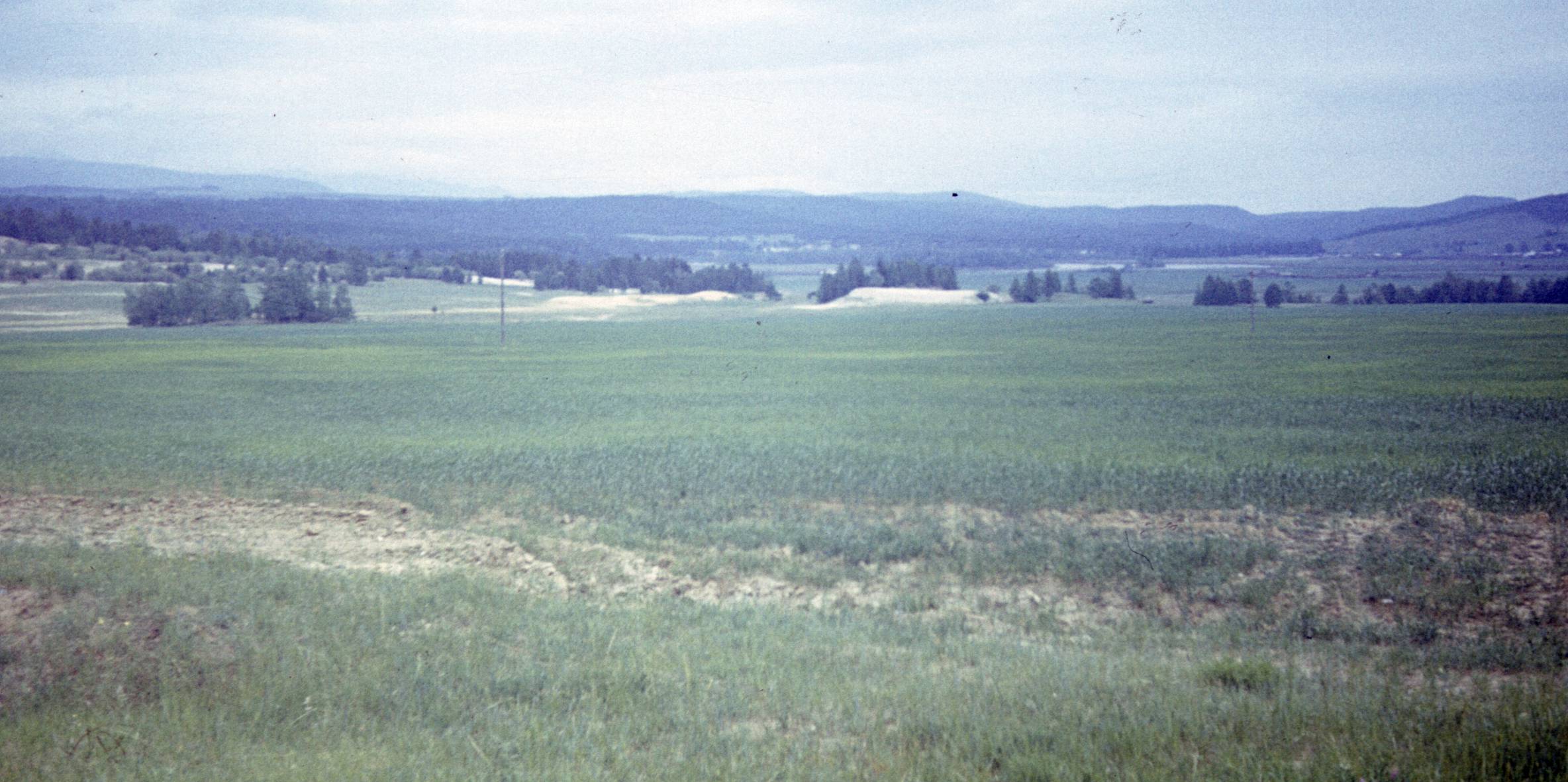 153.jpg