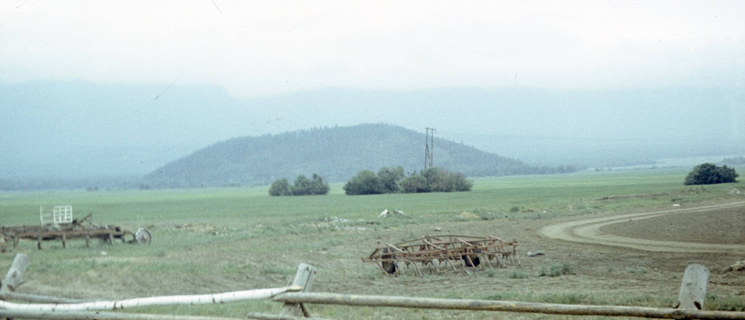174.jpg