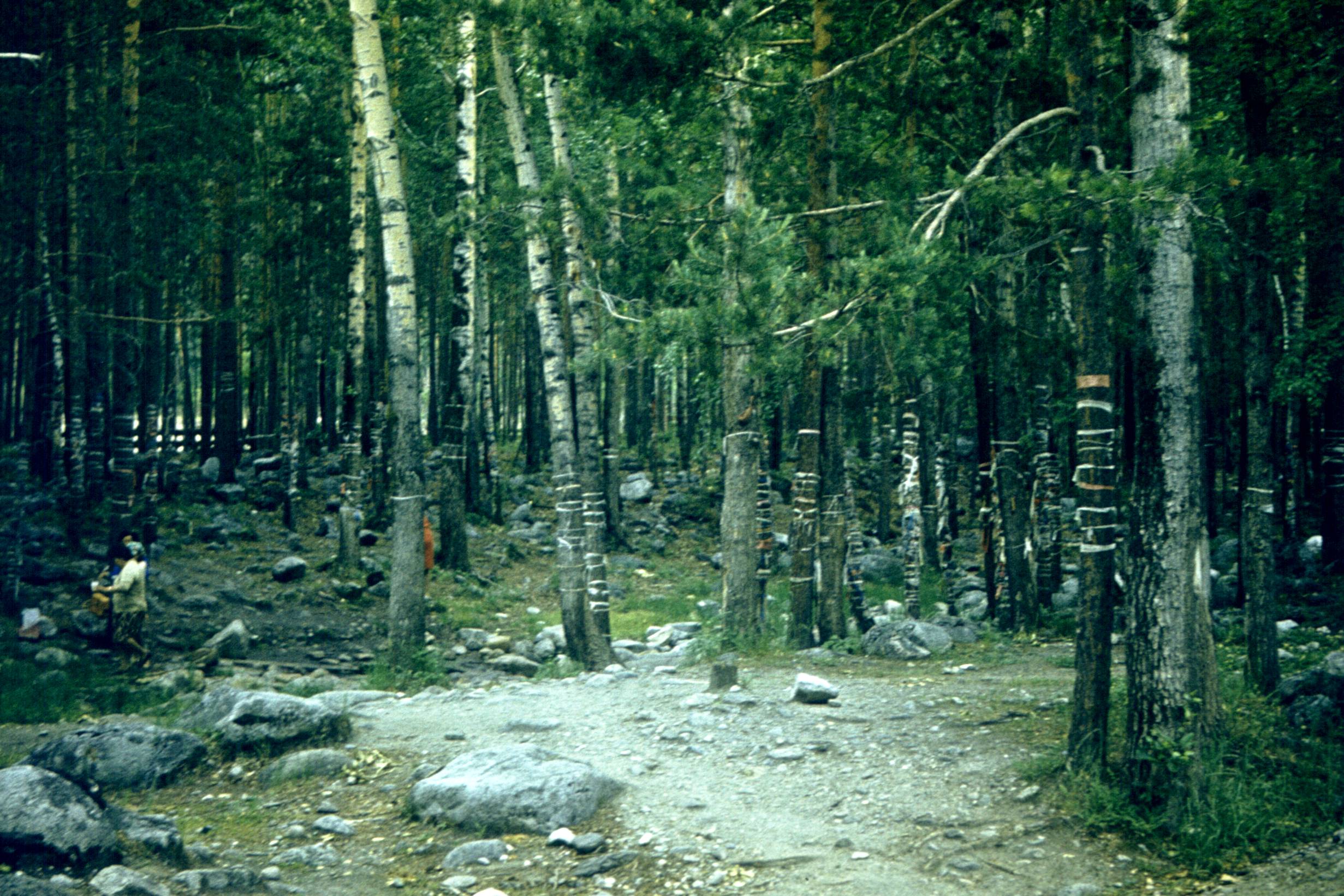 176.jpg
