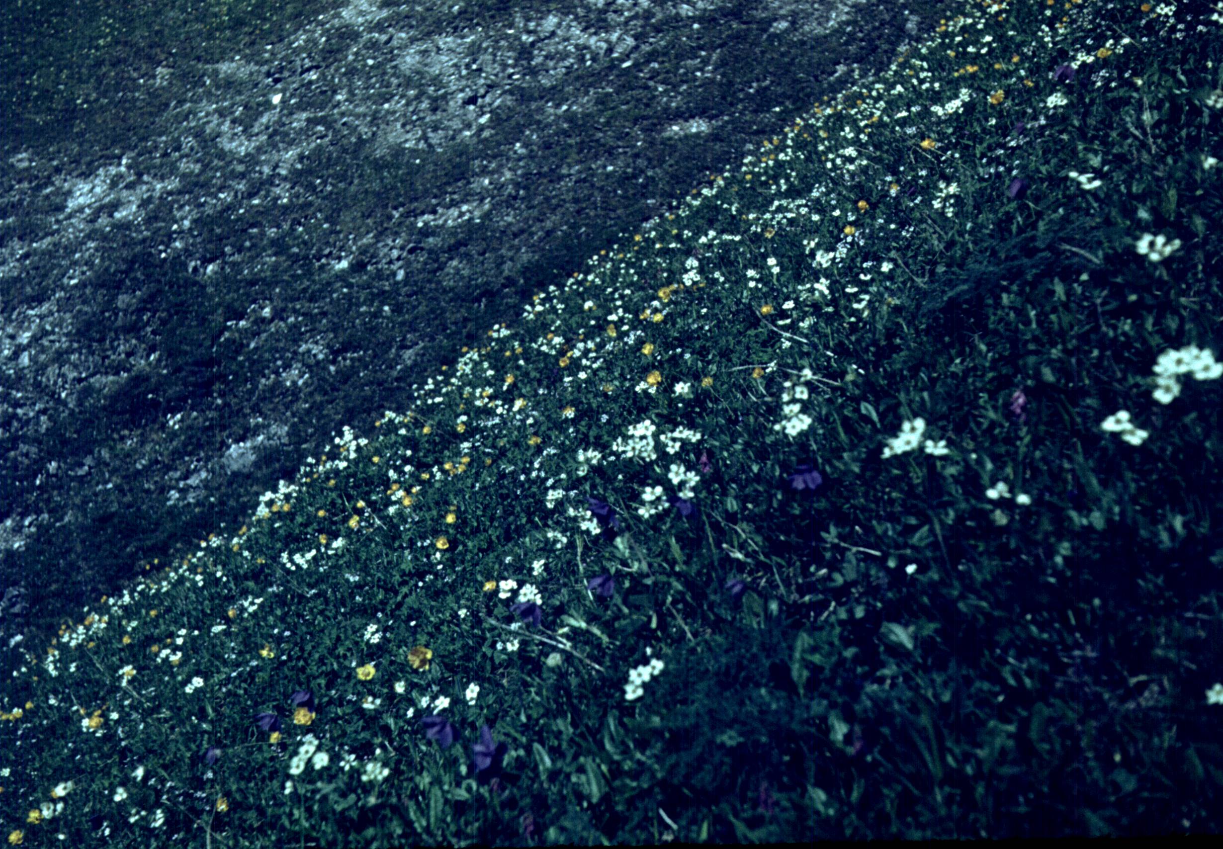 190.jpg