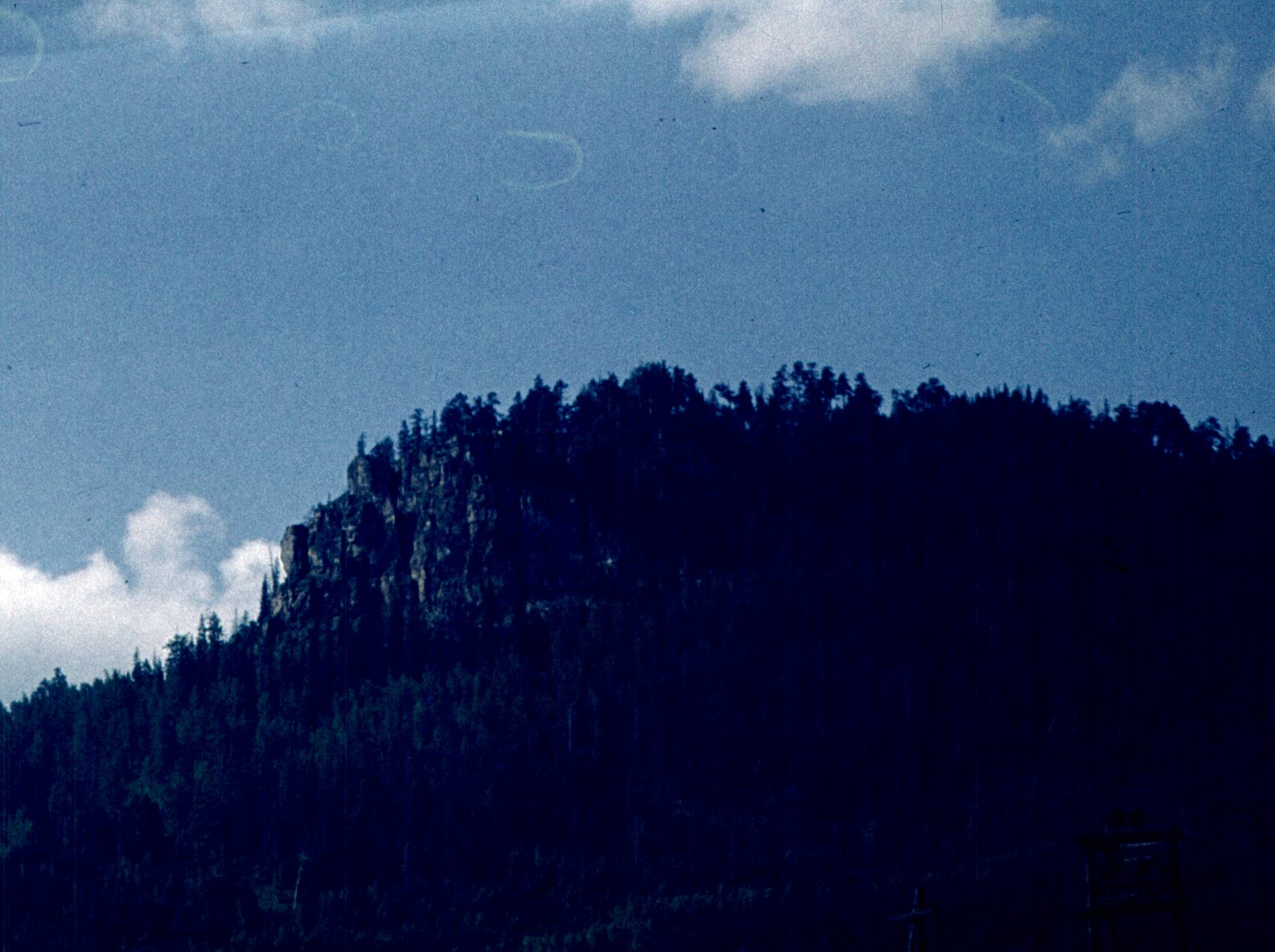 196.jpg