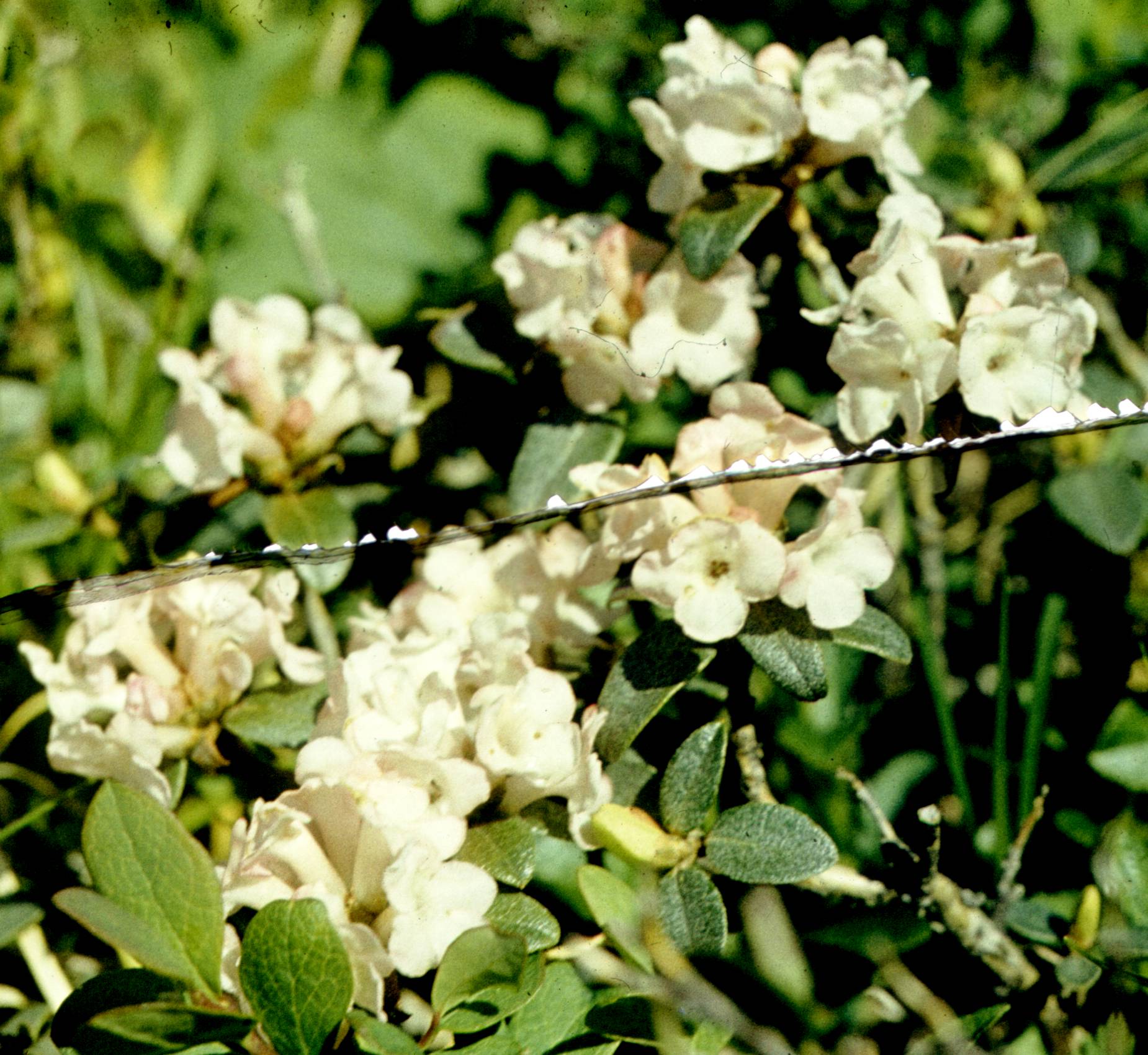 255.jpg
