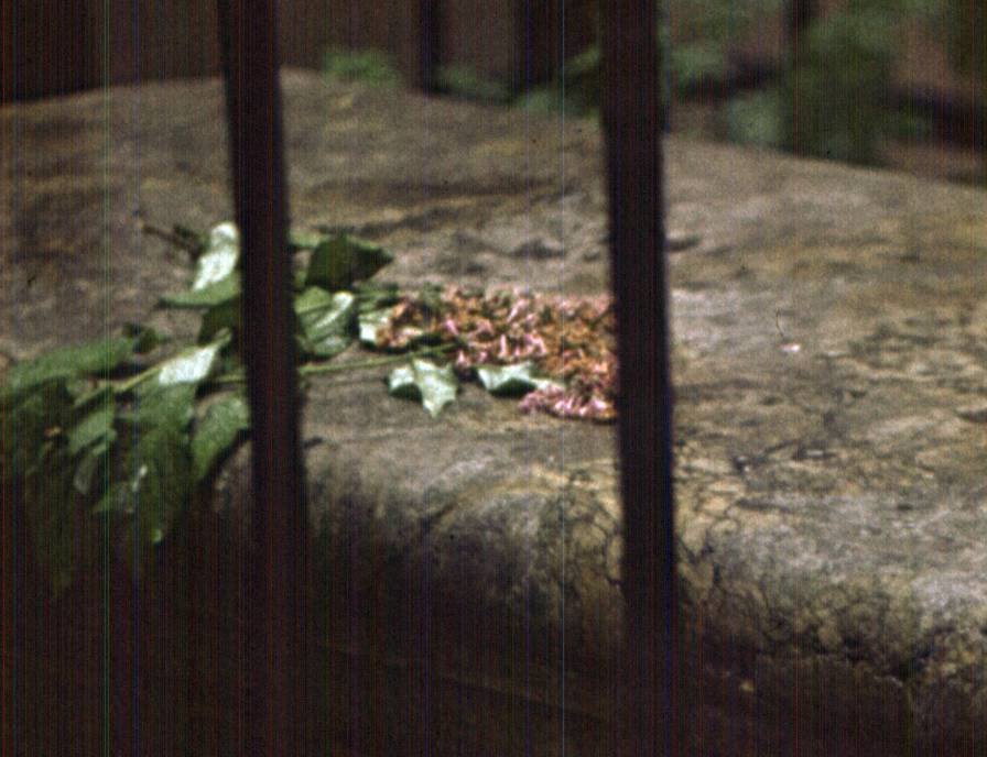 023-1.jpg