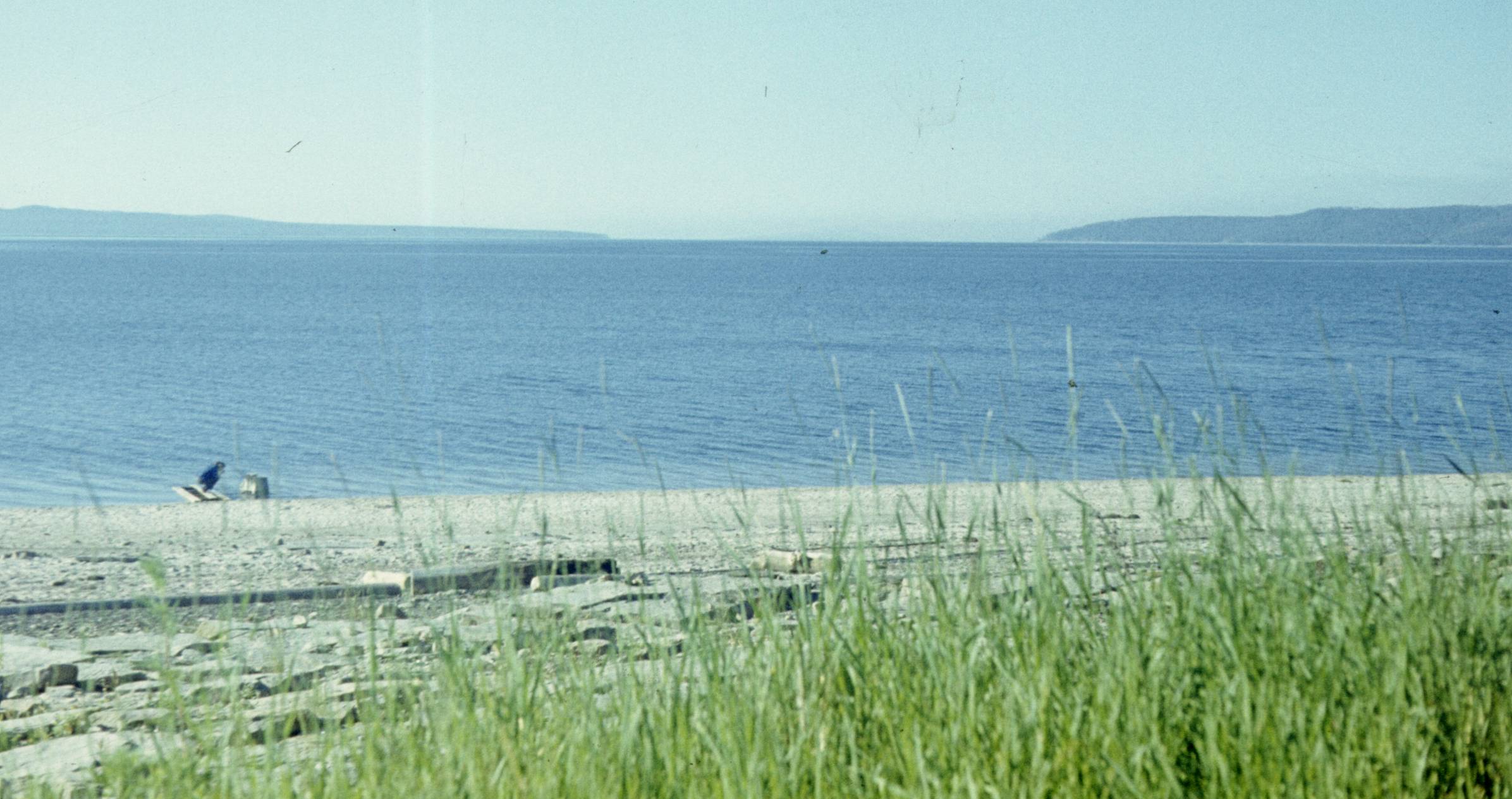 149.jpg