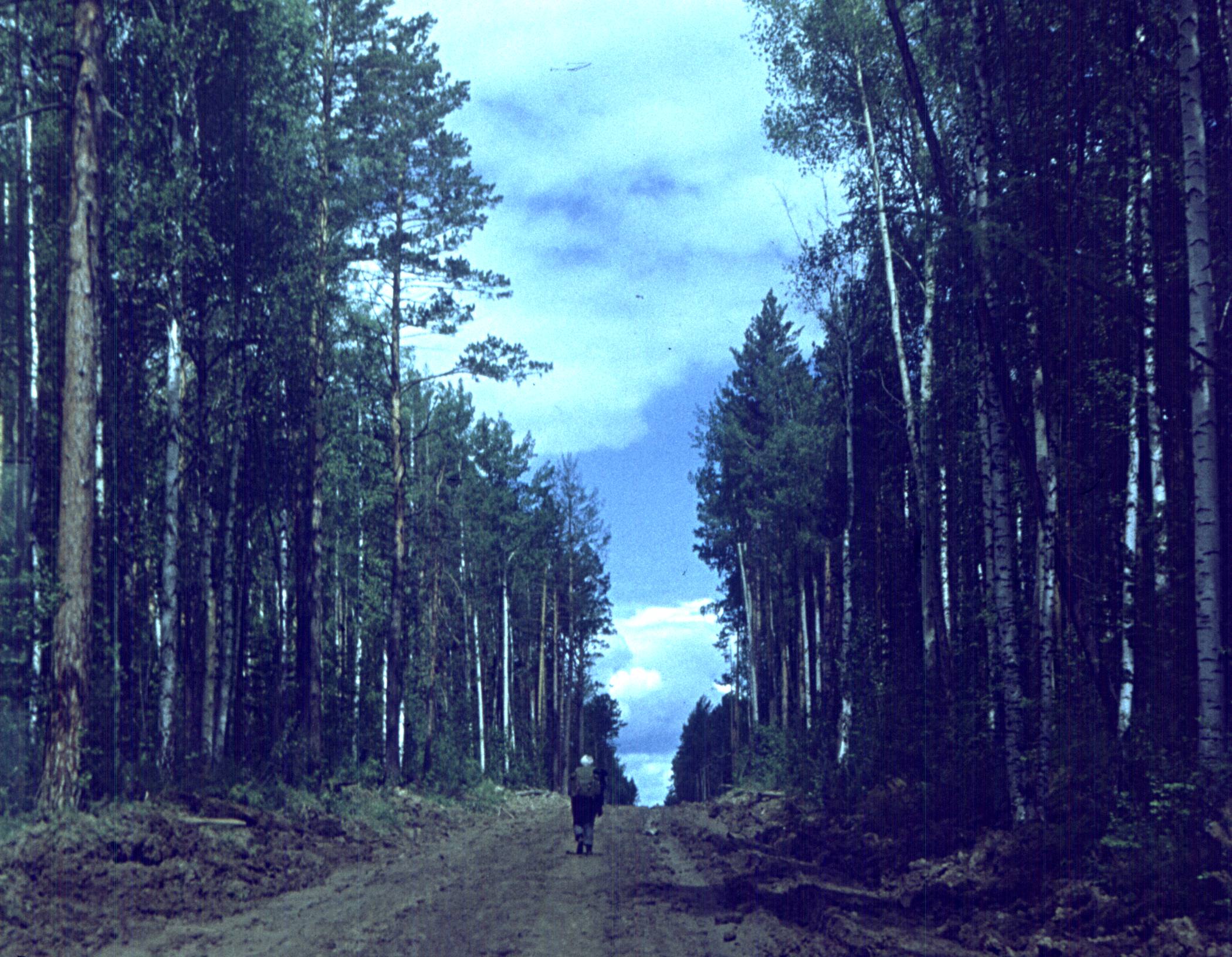 156.jpg