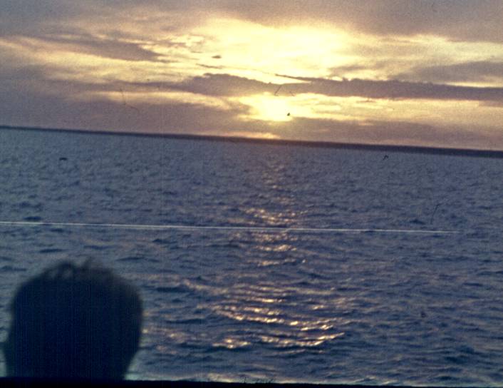 038-1.jpg